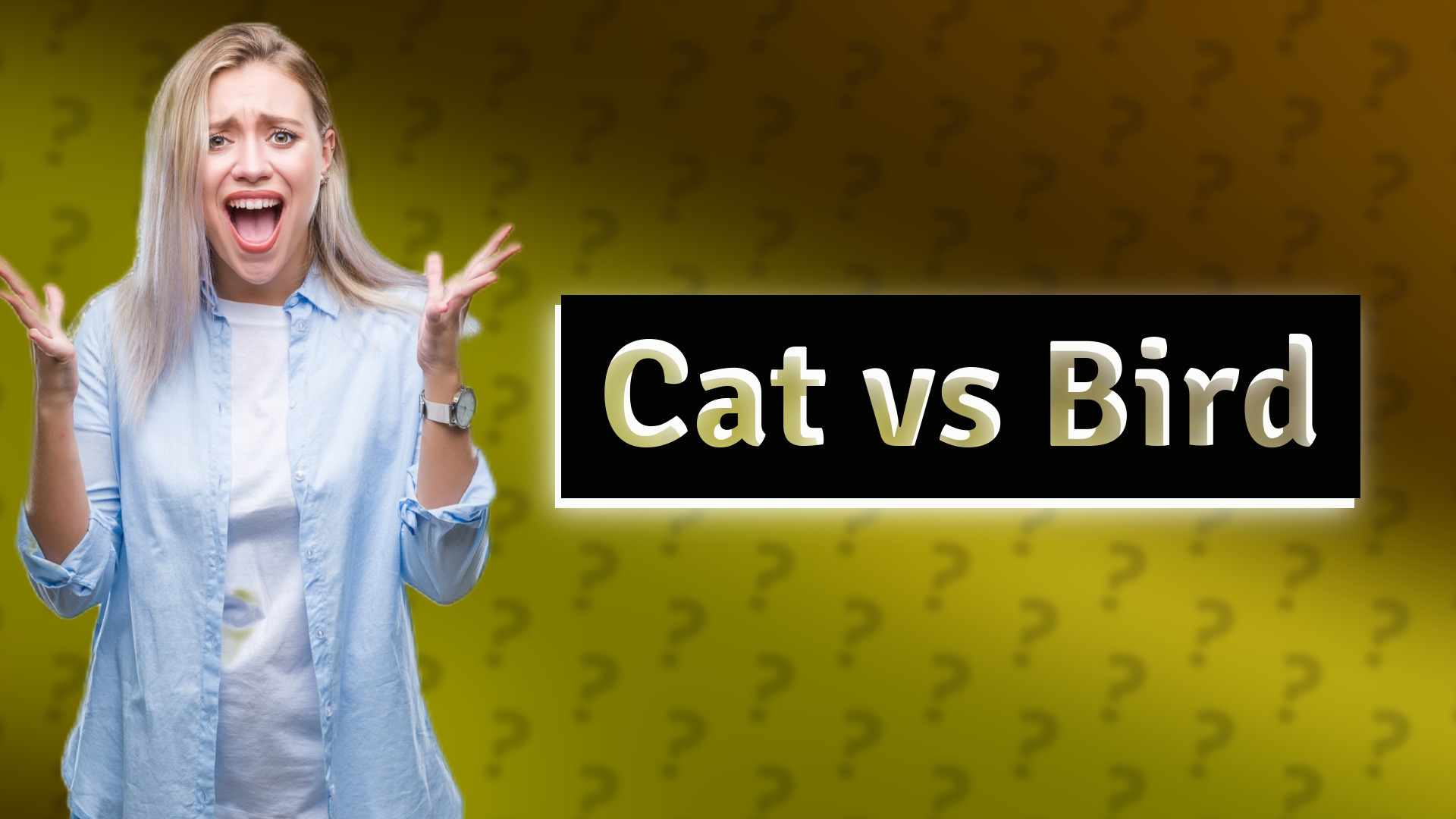 Cat vs Bird