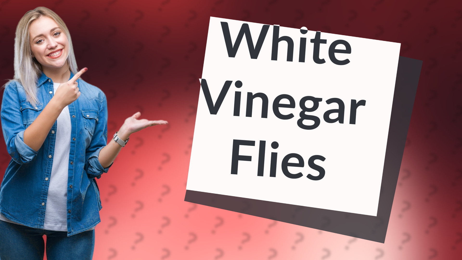 White Vinegar Flies