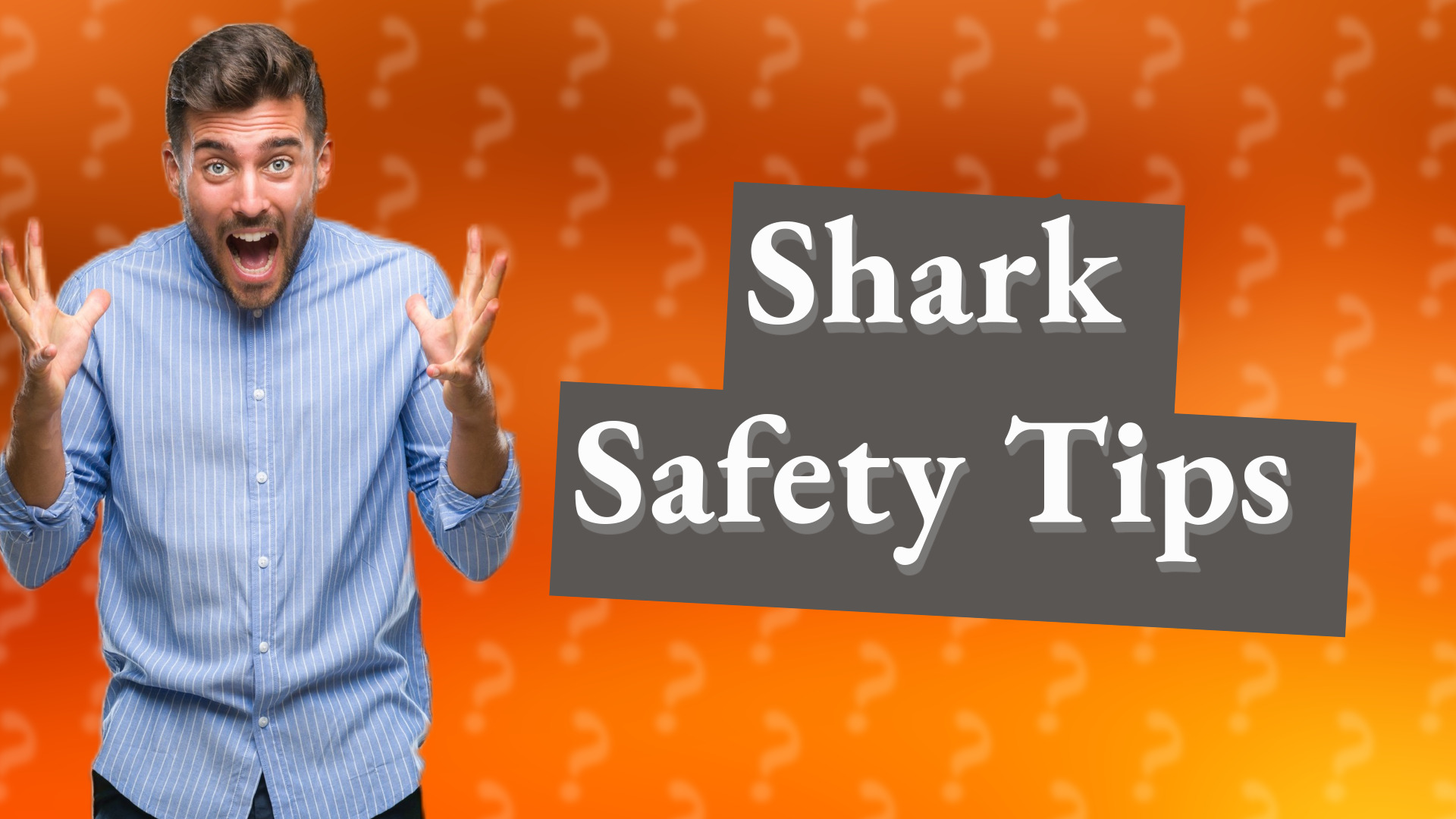 Shark Safety Tips