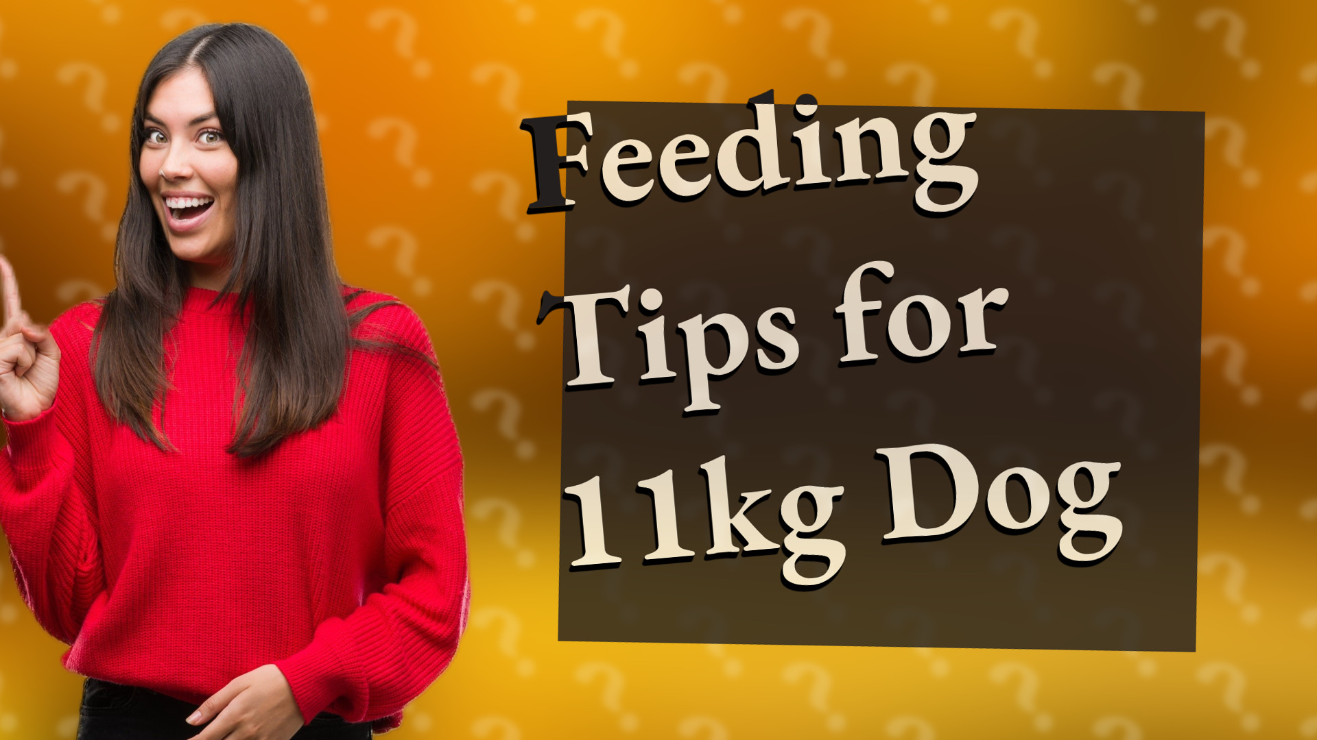 Feeding Tips for 11kg Dog