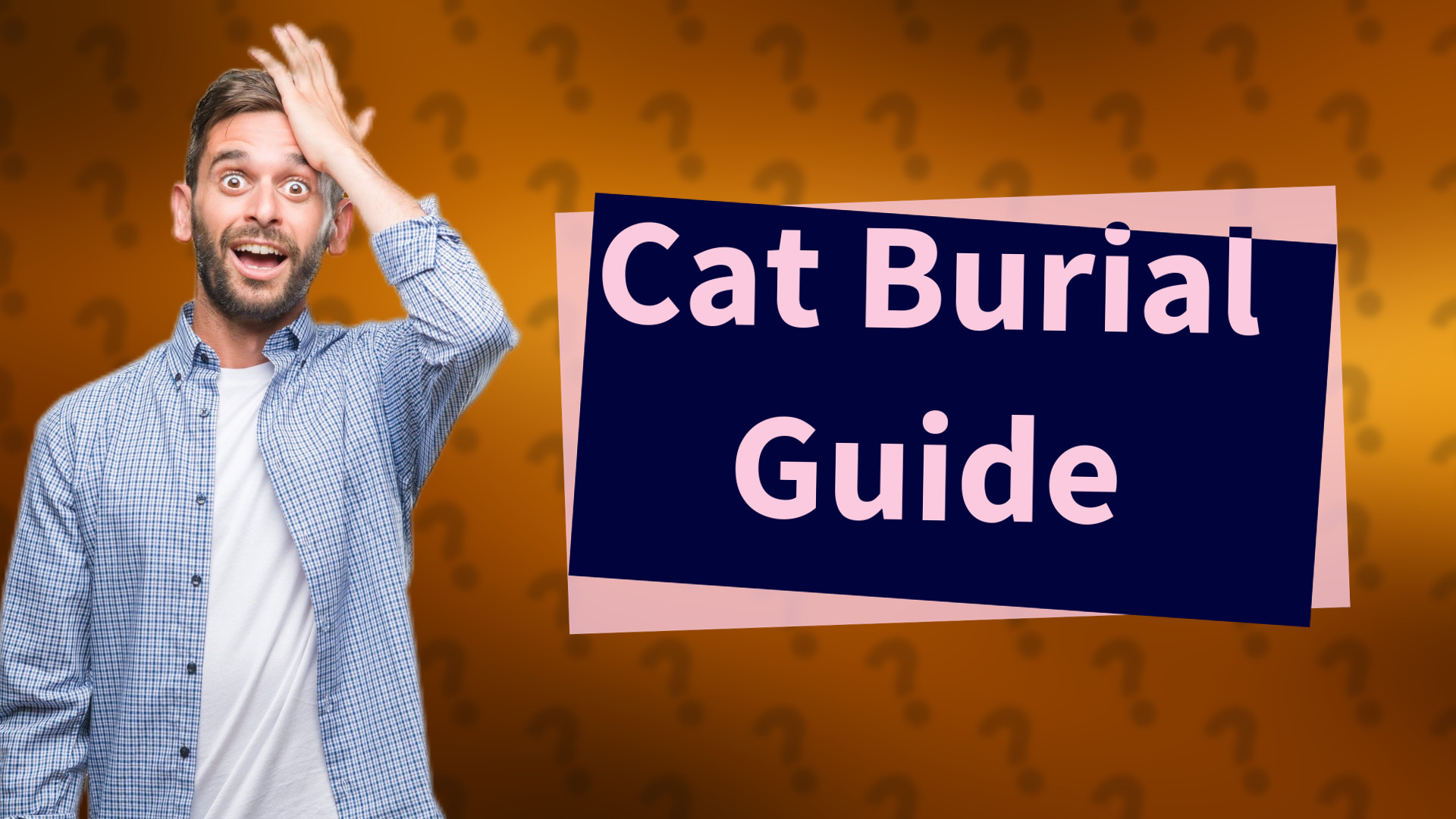 Cat Burial Guide