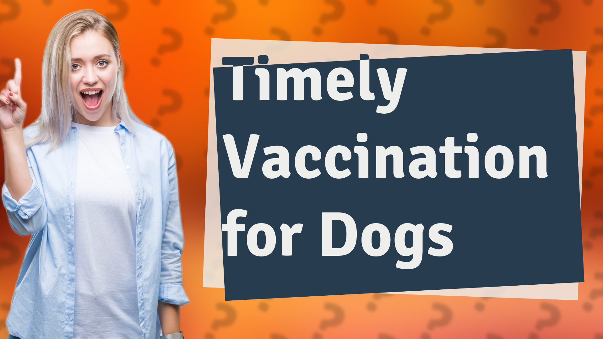 Timely Vaccination for Dogs