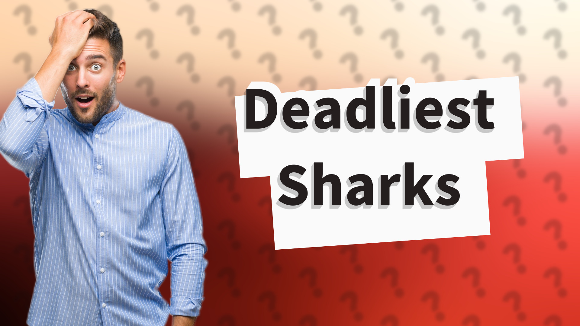 Deadliest Sharks