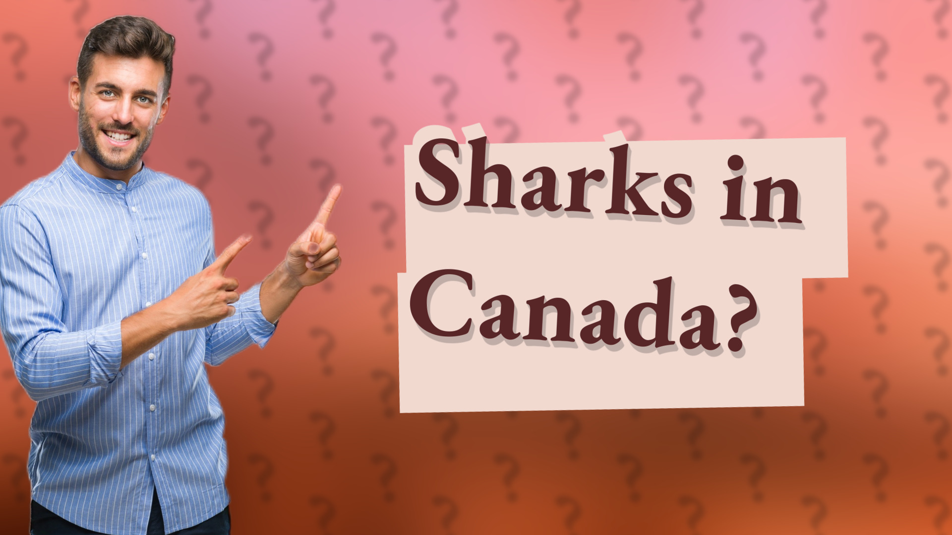 Sharks in Canada?