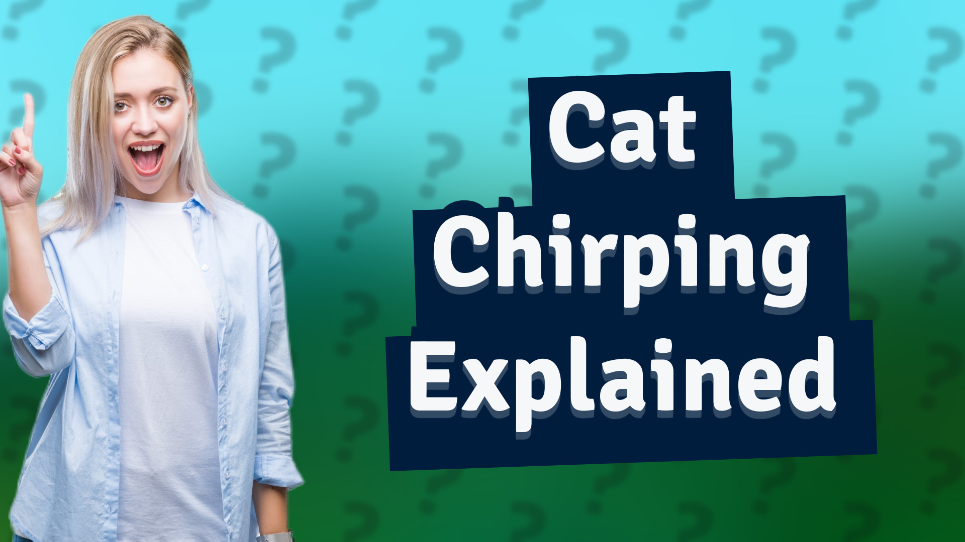 Cat Chirping Explained