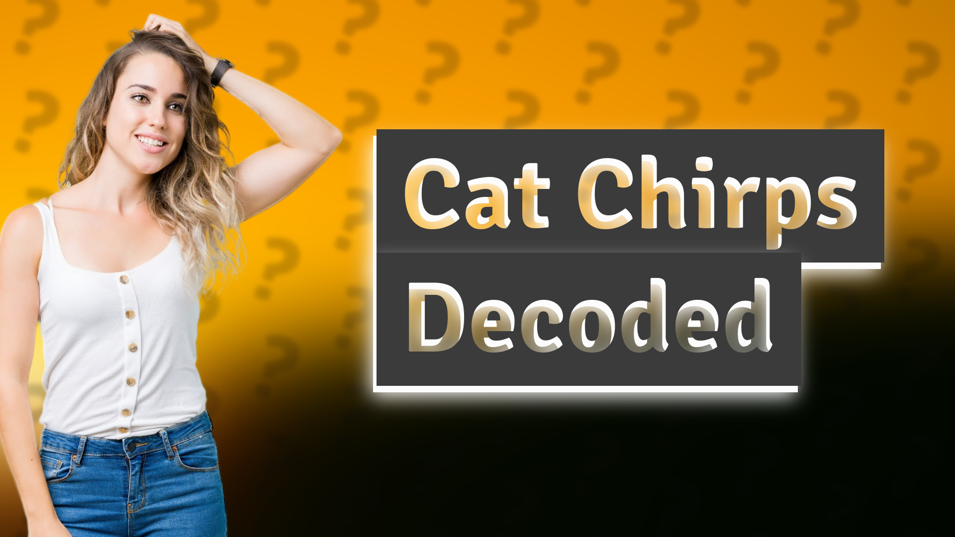Cat Chirps Decoded