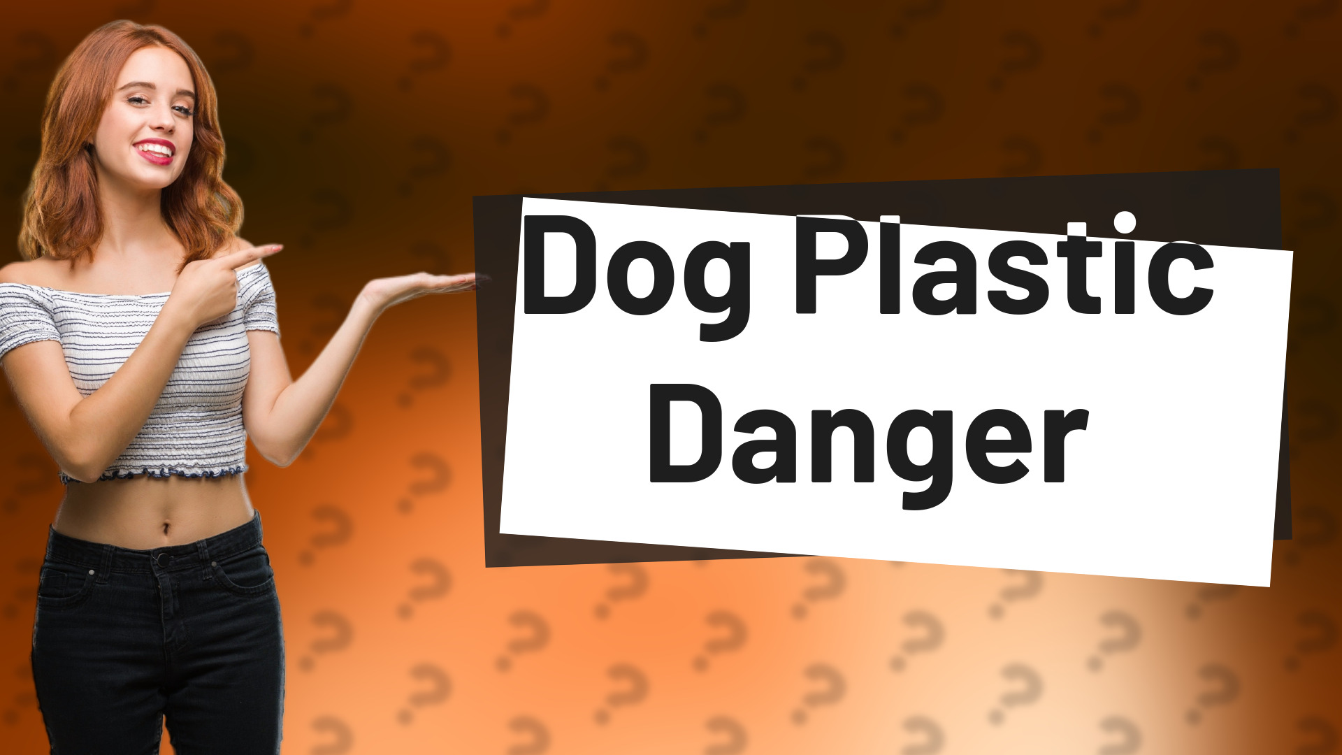 Dog Plastic Danger