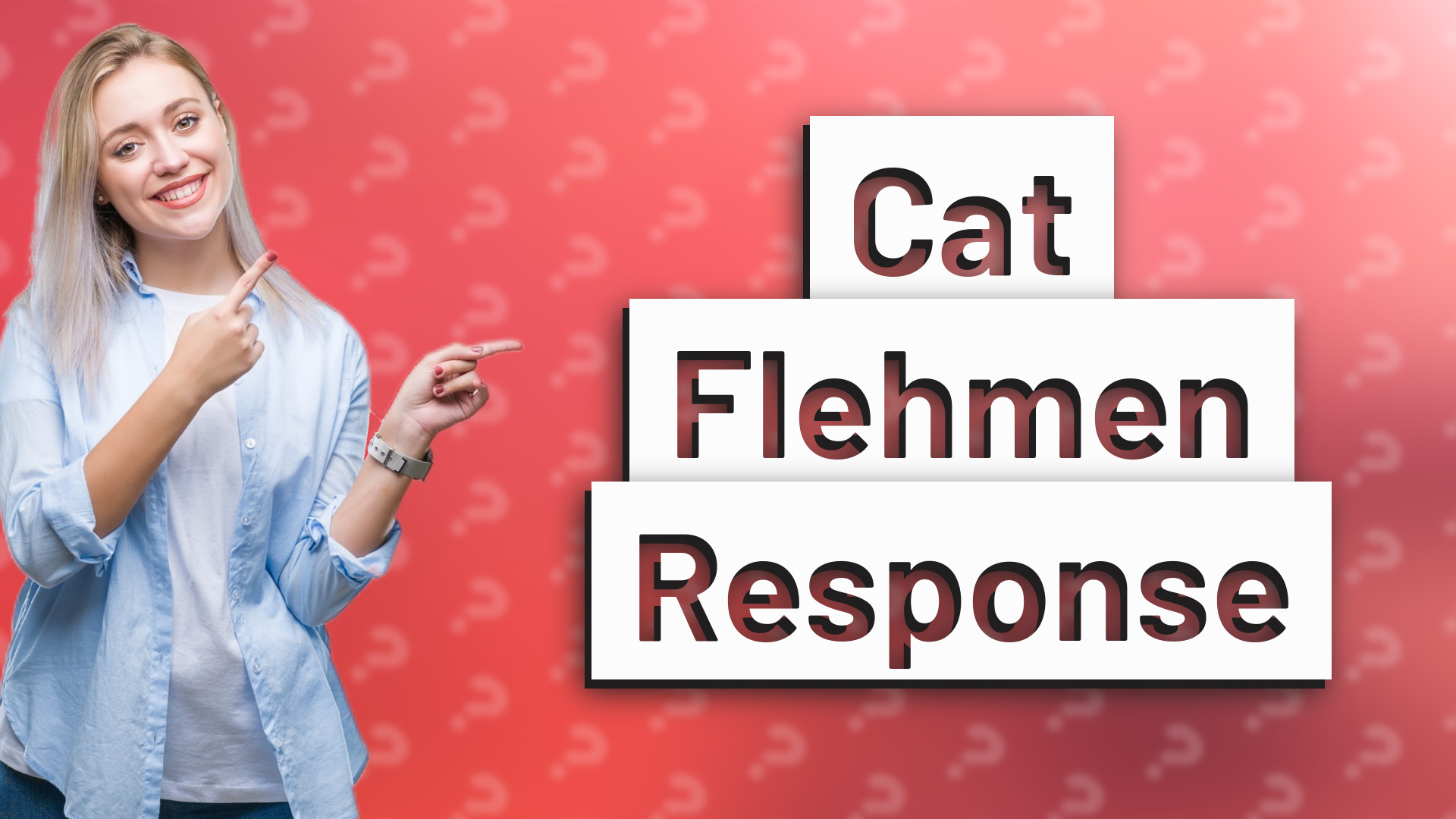 Cat Flehmen Response
