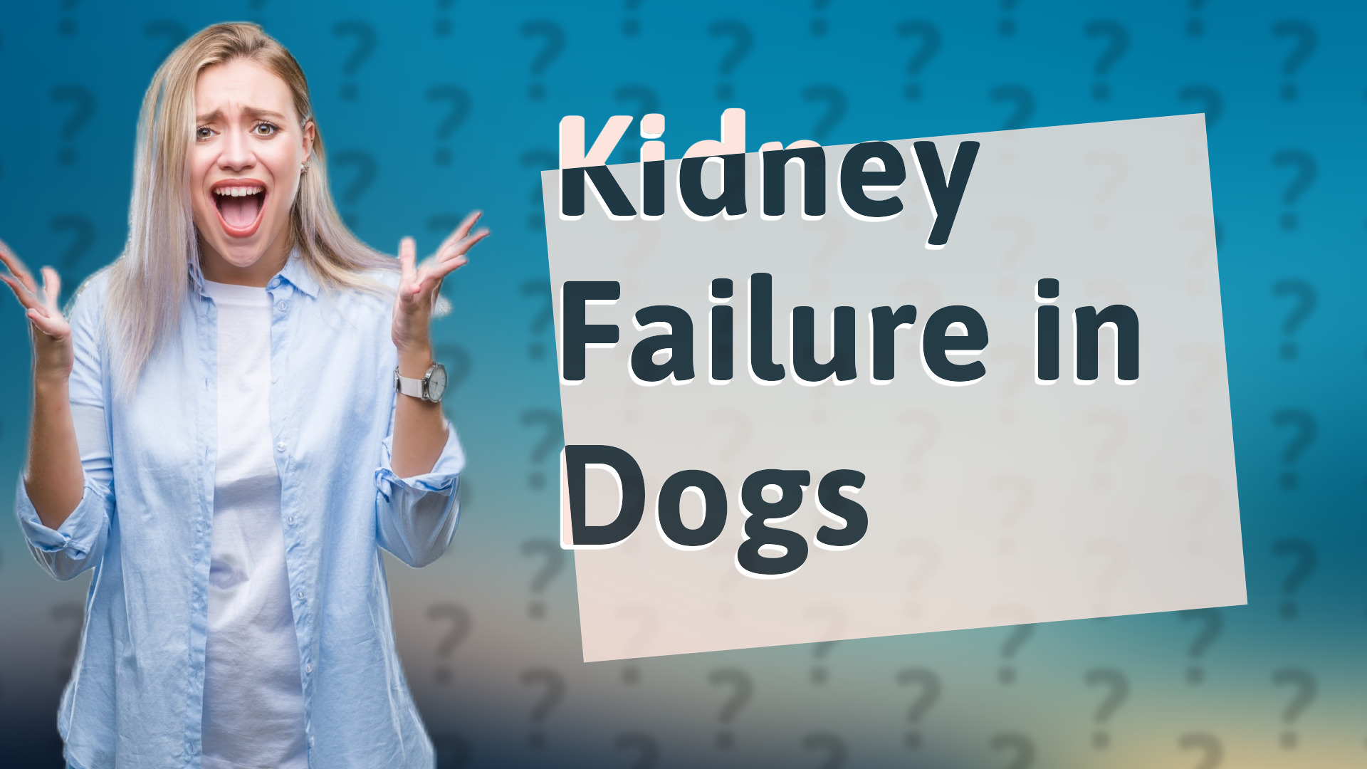 Kidney Failure in Dogs