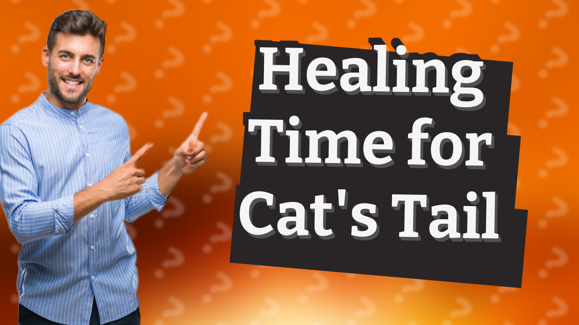 Healing Time for Cat's Tail