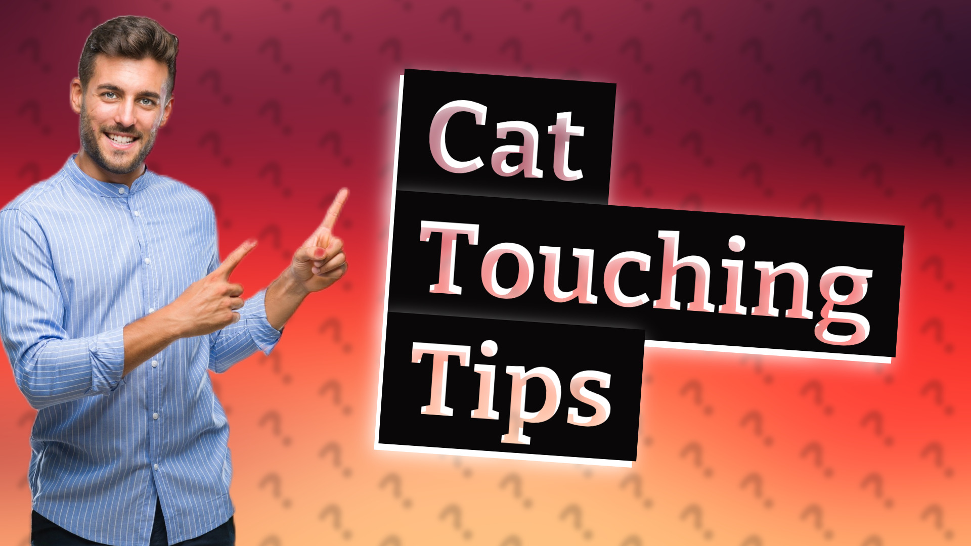 Cat Touching Tips