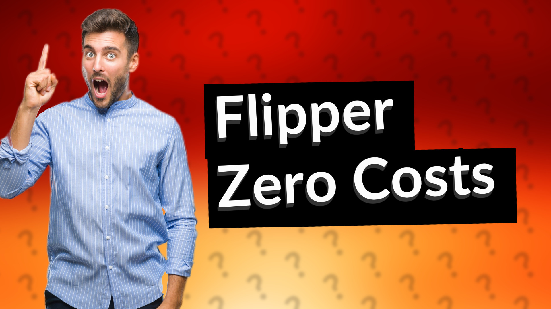 Flipper Zero Costs