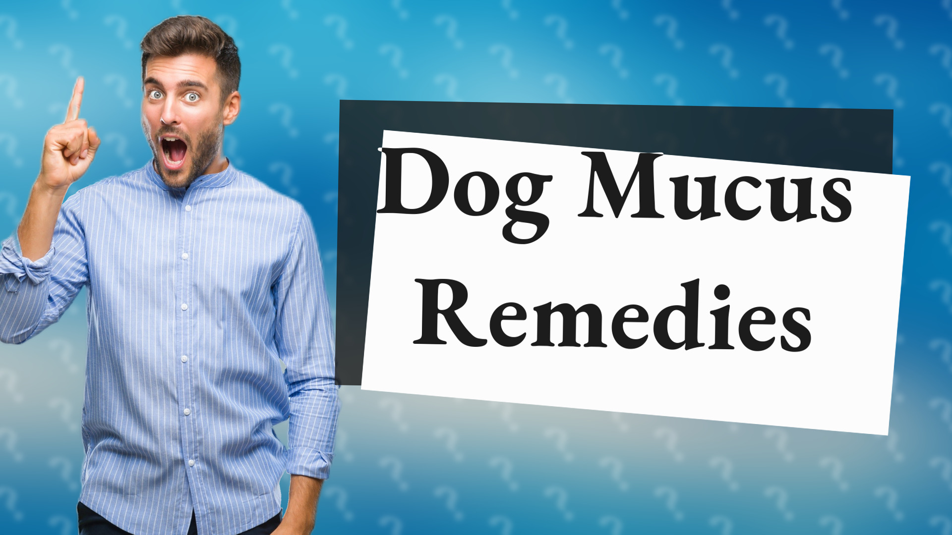Dog Mucus Remedies
