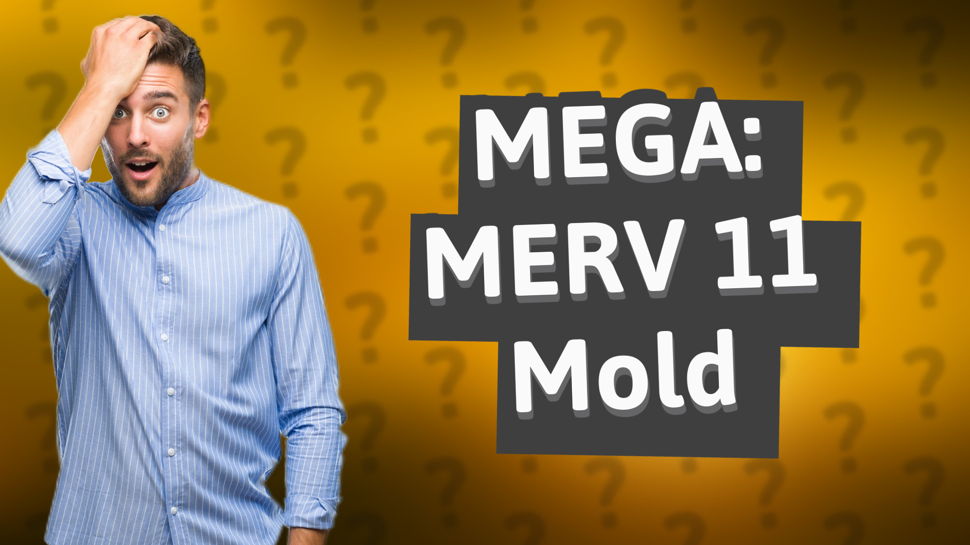 MEGA: MERV 11 Mold