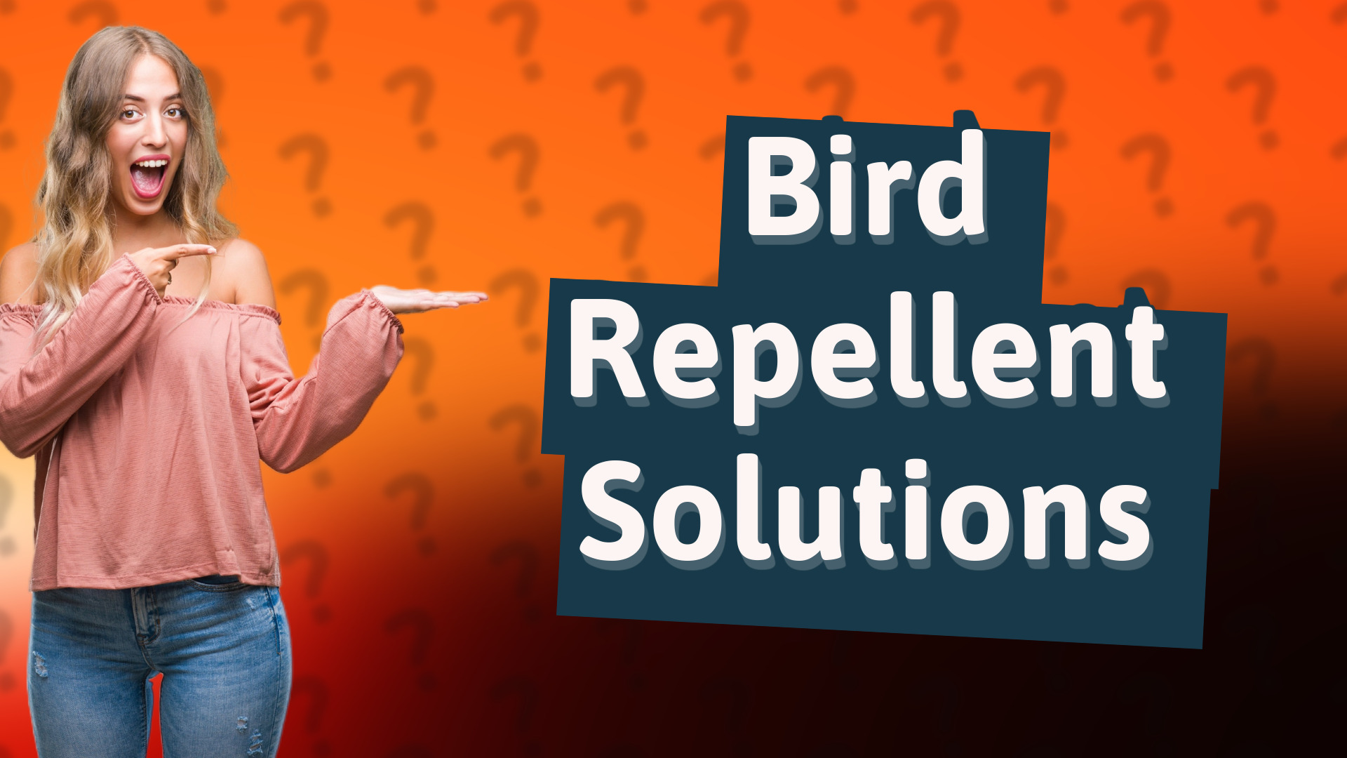 Bird Repellent Solutions