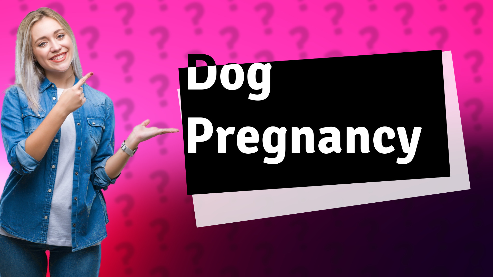 Dog Pregnancy