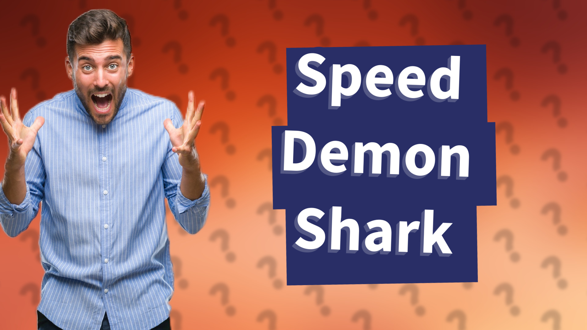 Speed Demon Shark