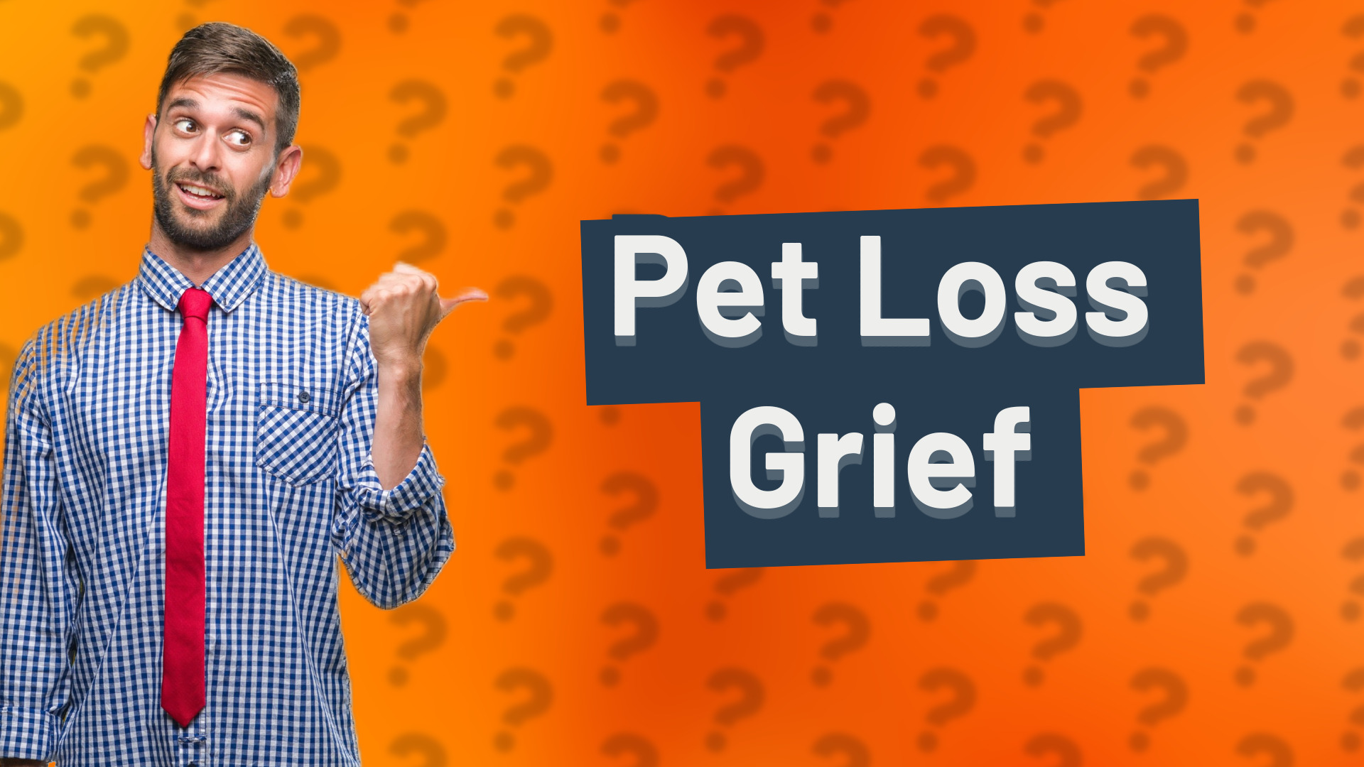 Pet Loss Grief
