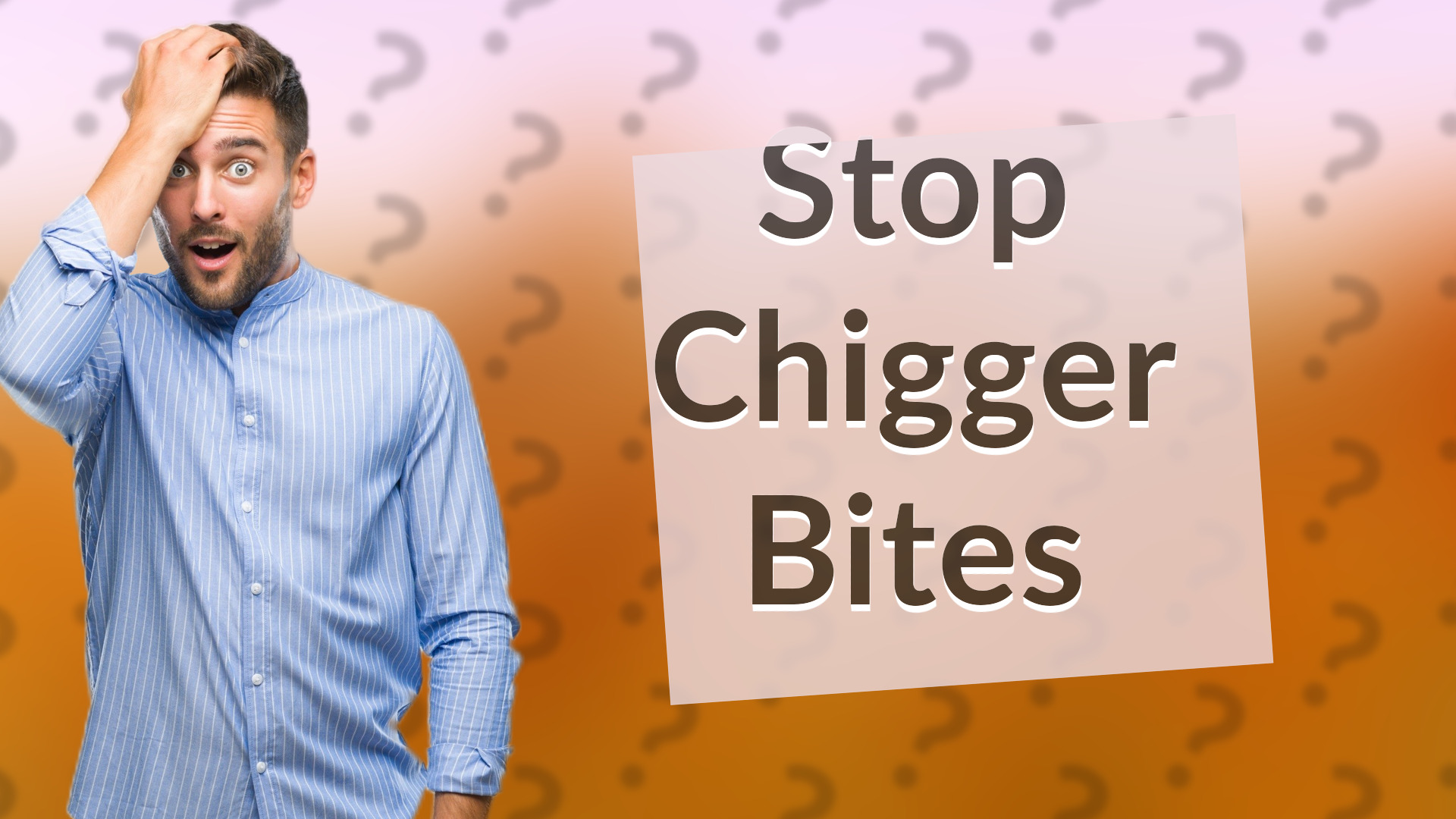 Stop Chigger Bites
