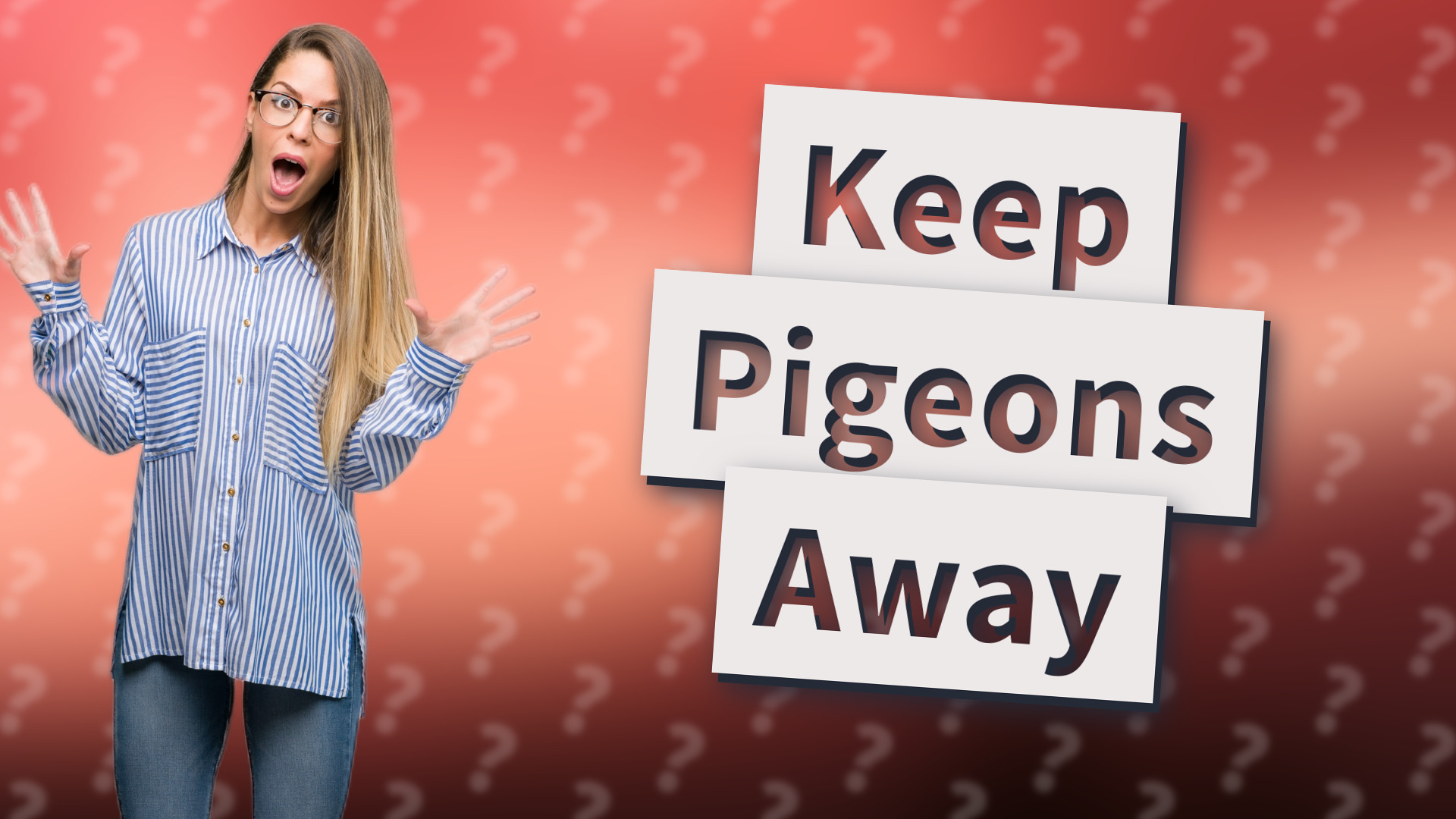 Keep Pigeons Away