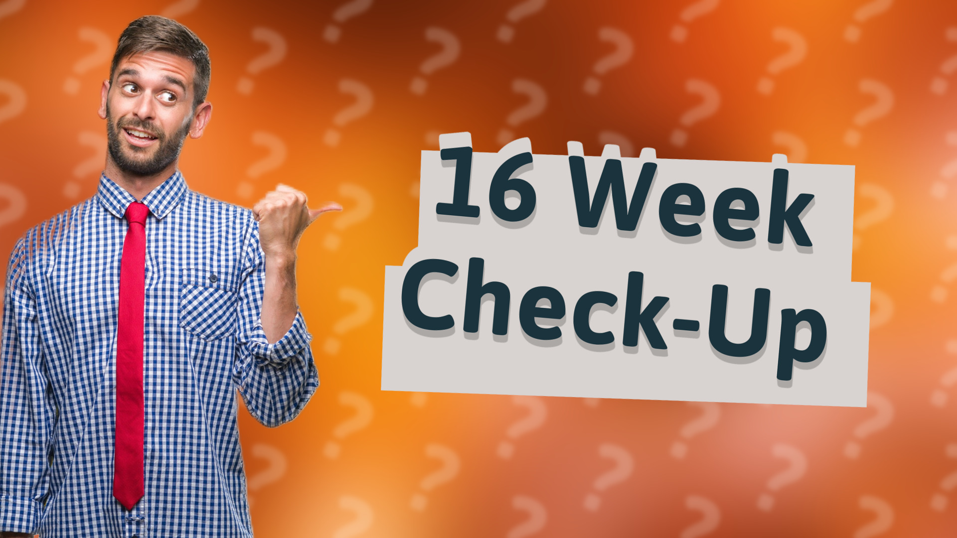 16 Week Check-Up