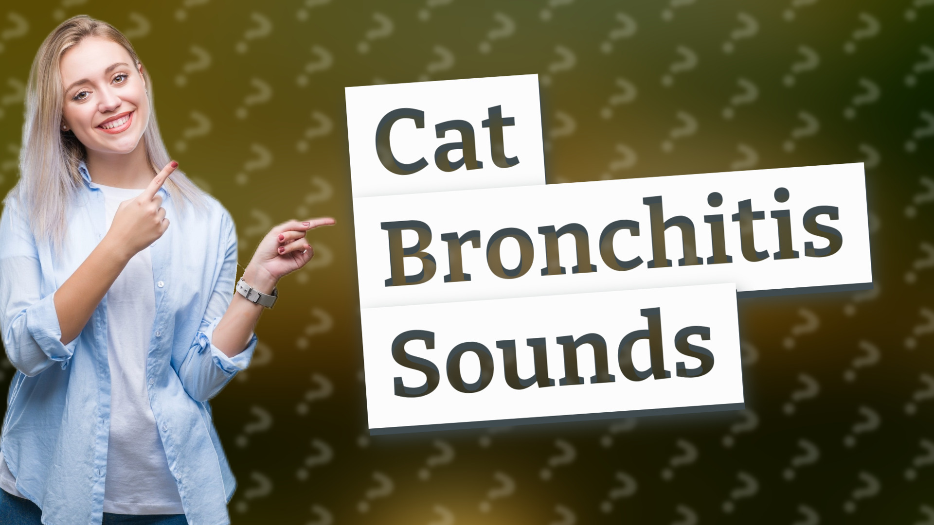 Cat Bronchitis Sounds