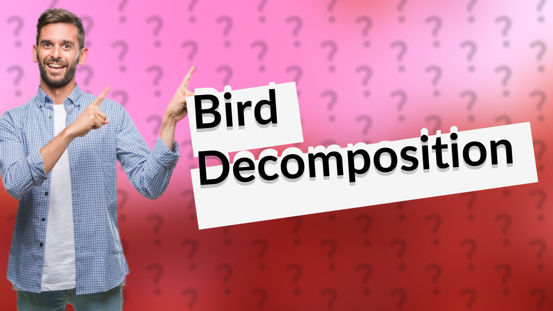 Bird Decomposition