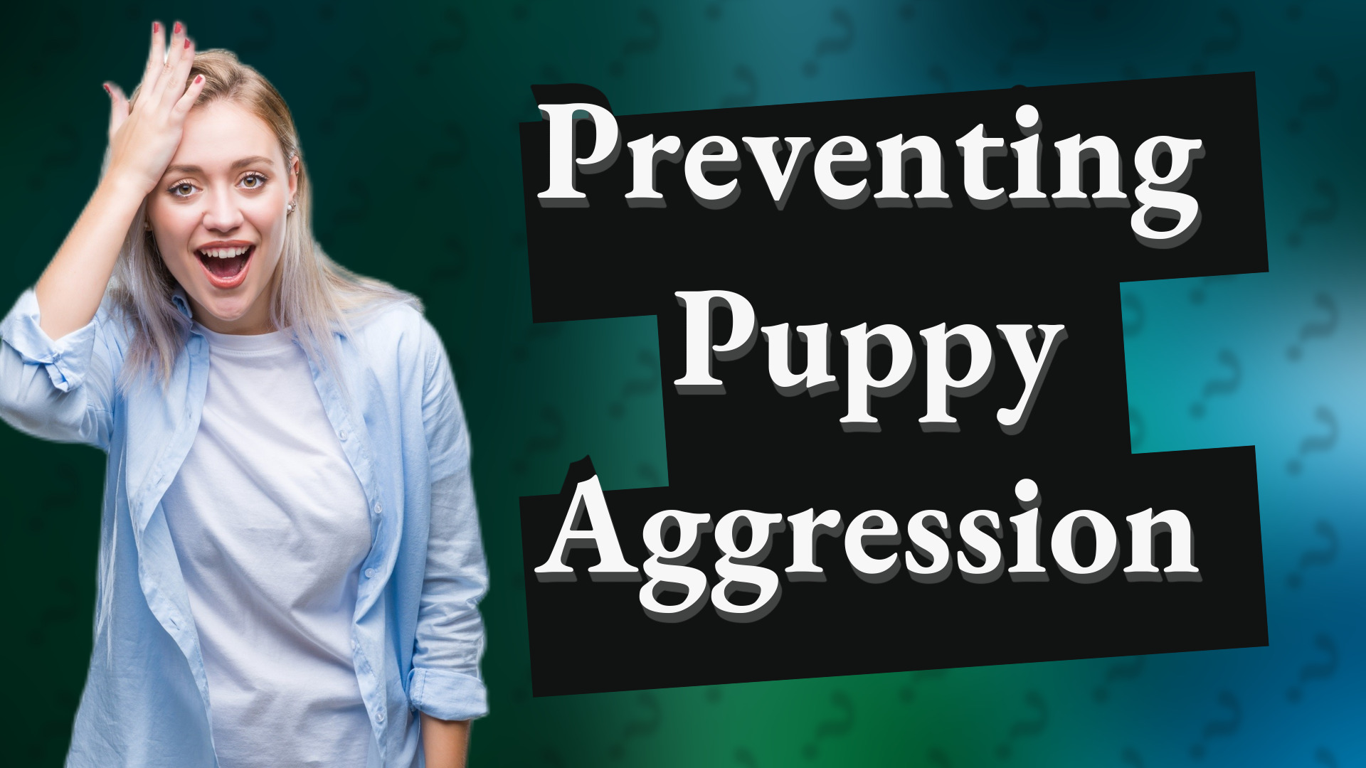 Preventing Puppy Aggression
