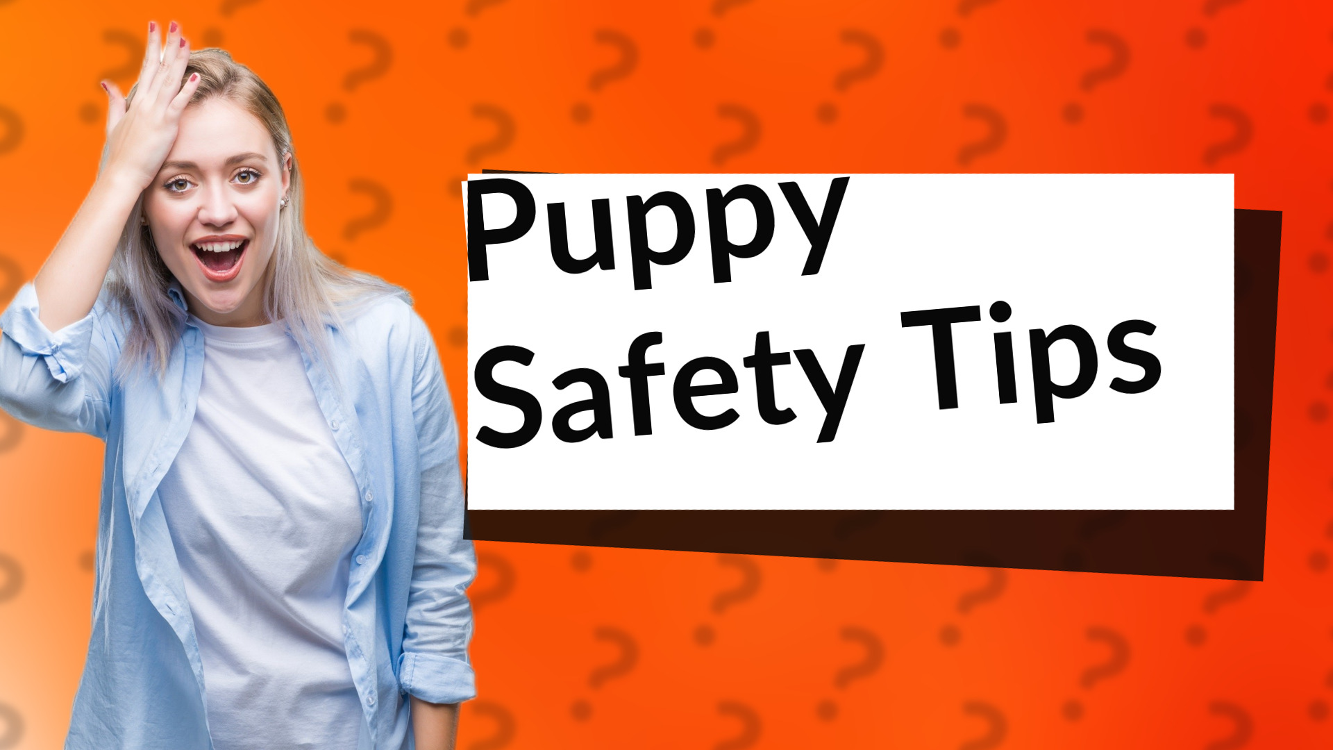 Puppy Safety Tips