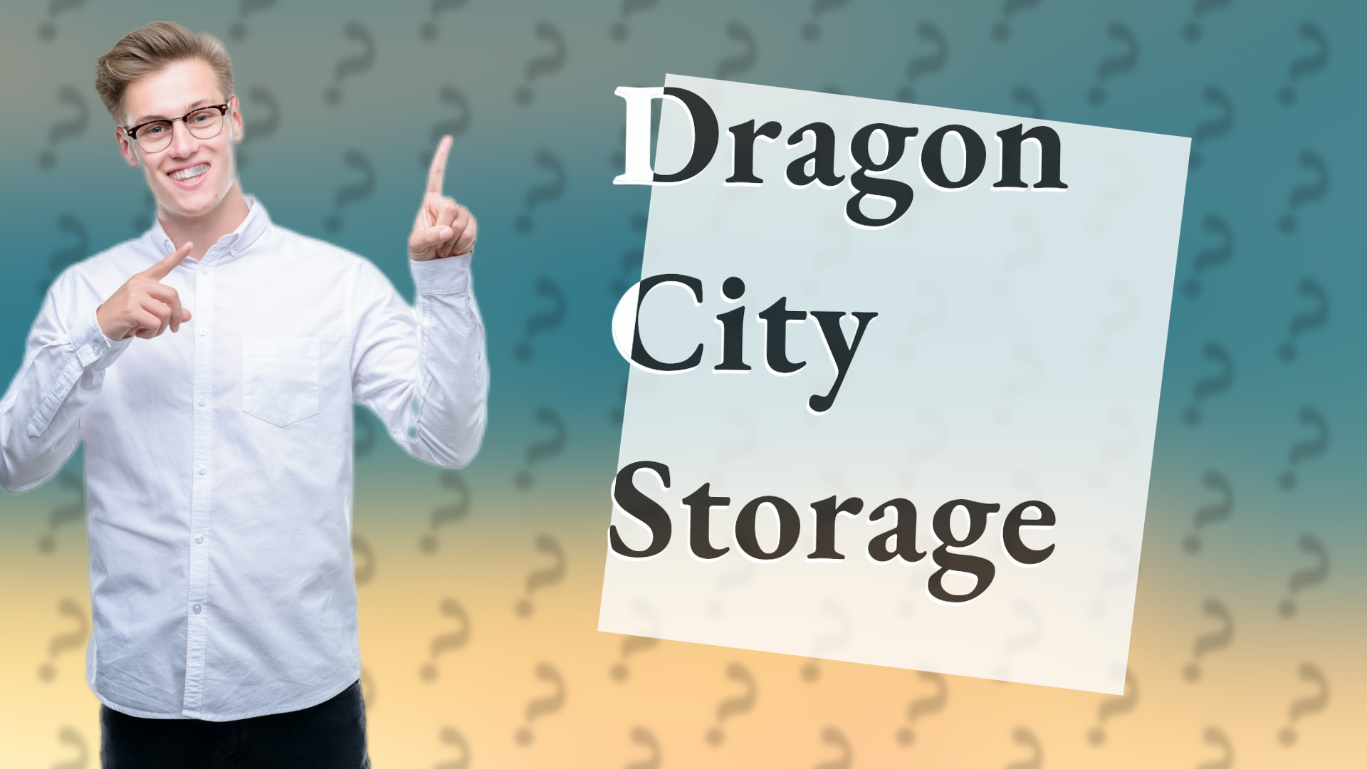 Dragon City Storage