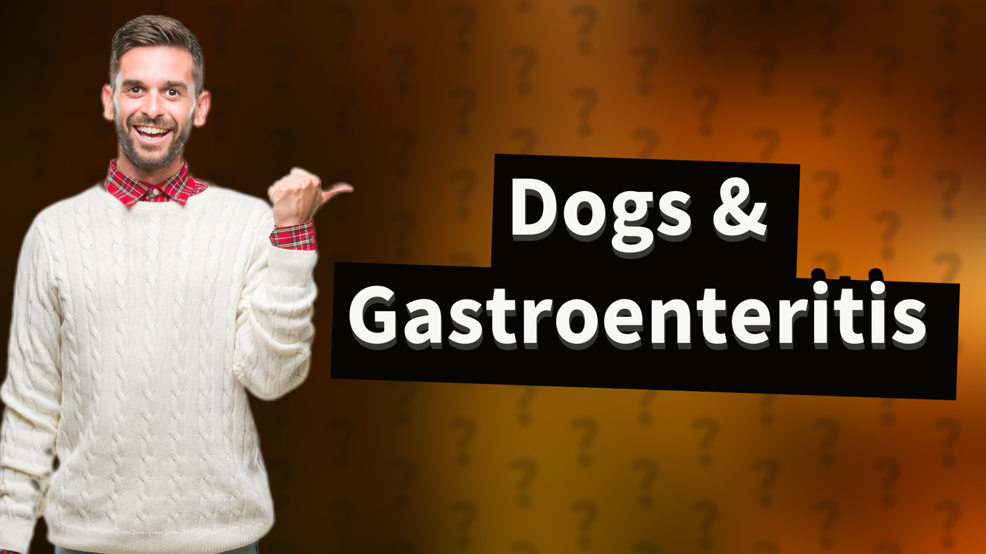 Dogs & Gastroenteritis