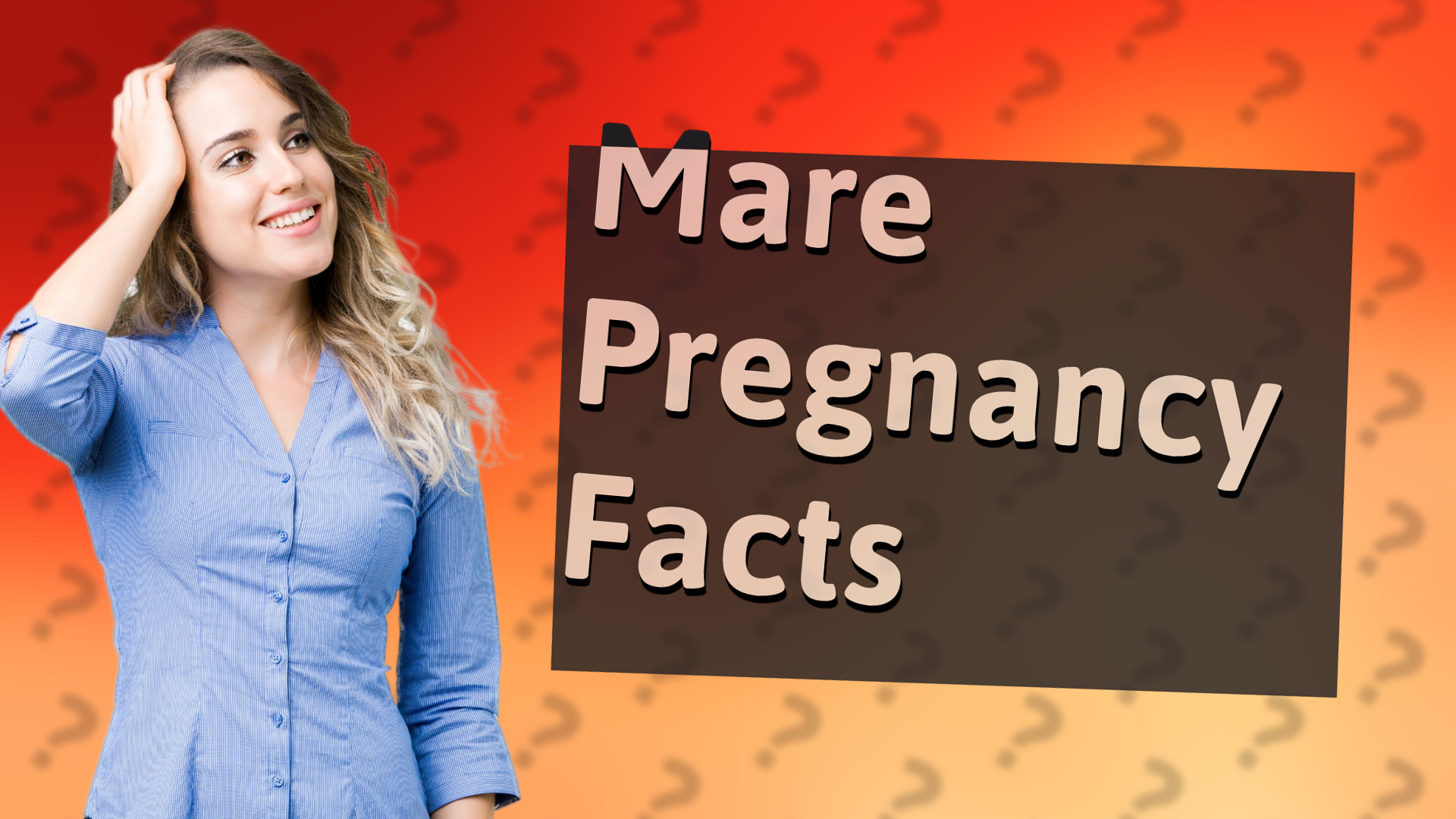 Mare Pregnancy Facts