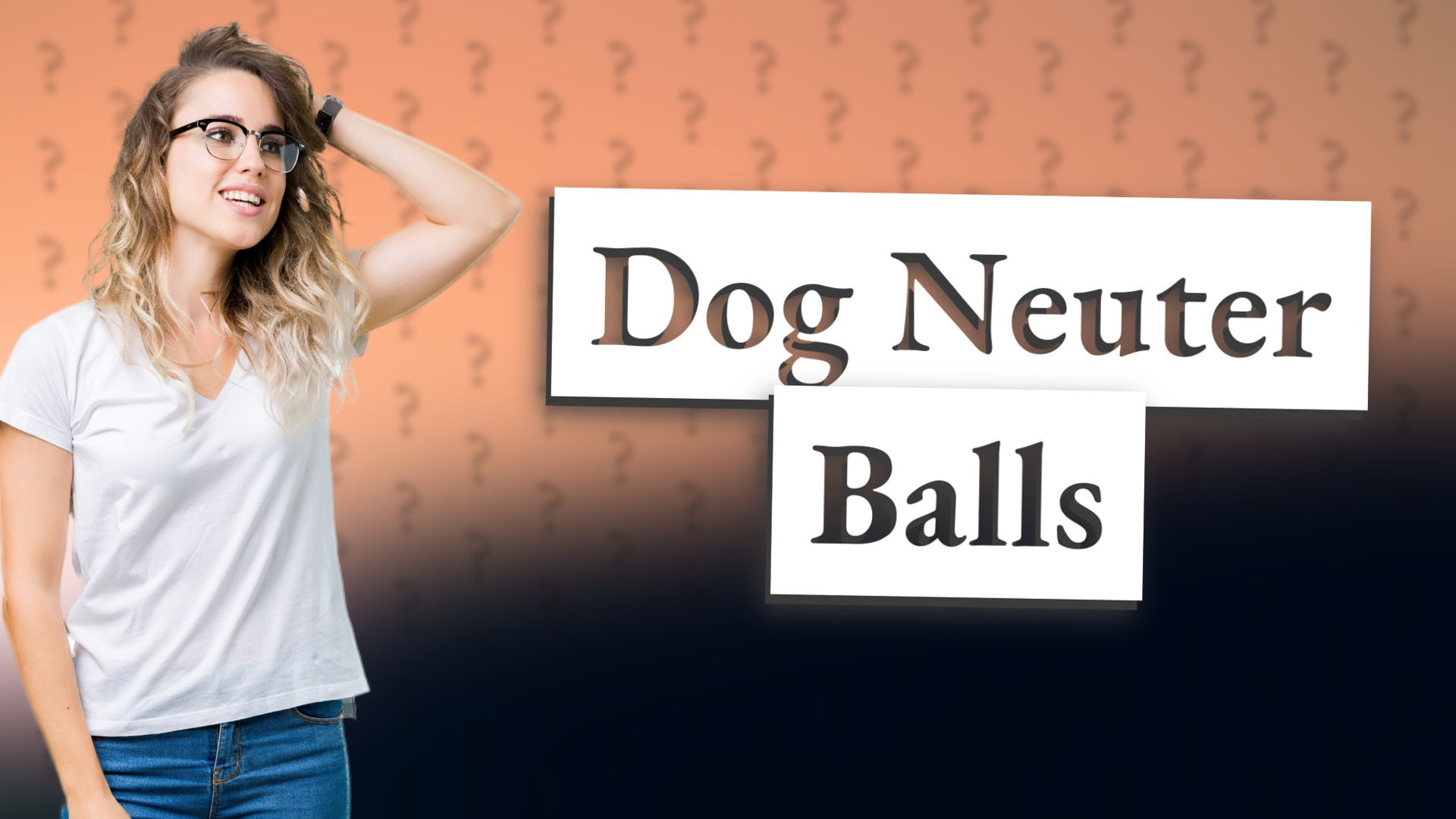 Dog Neuter Balls