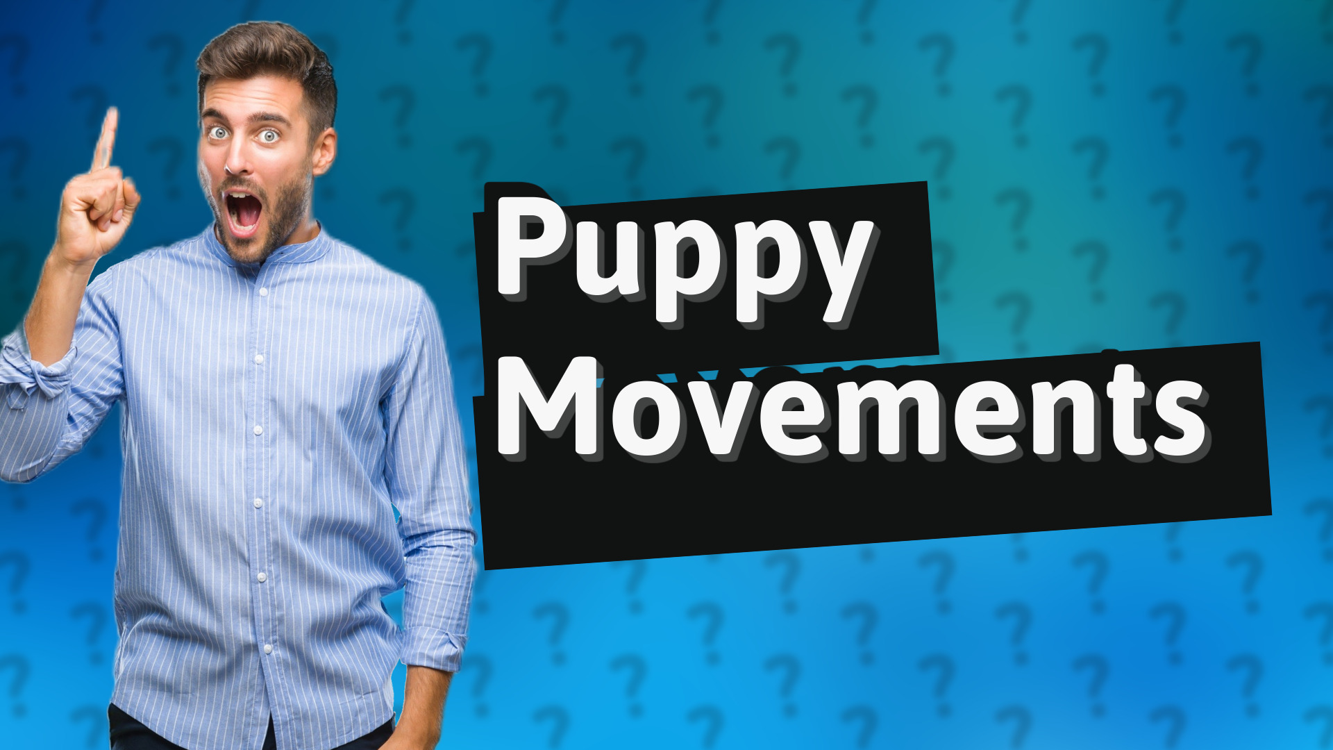 Puppy Movements
