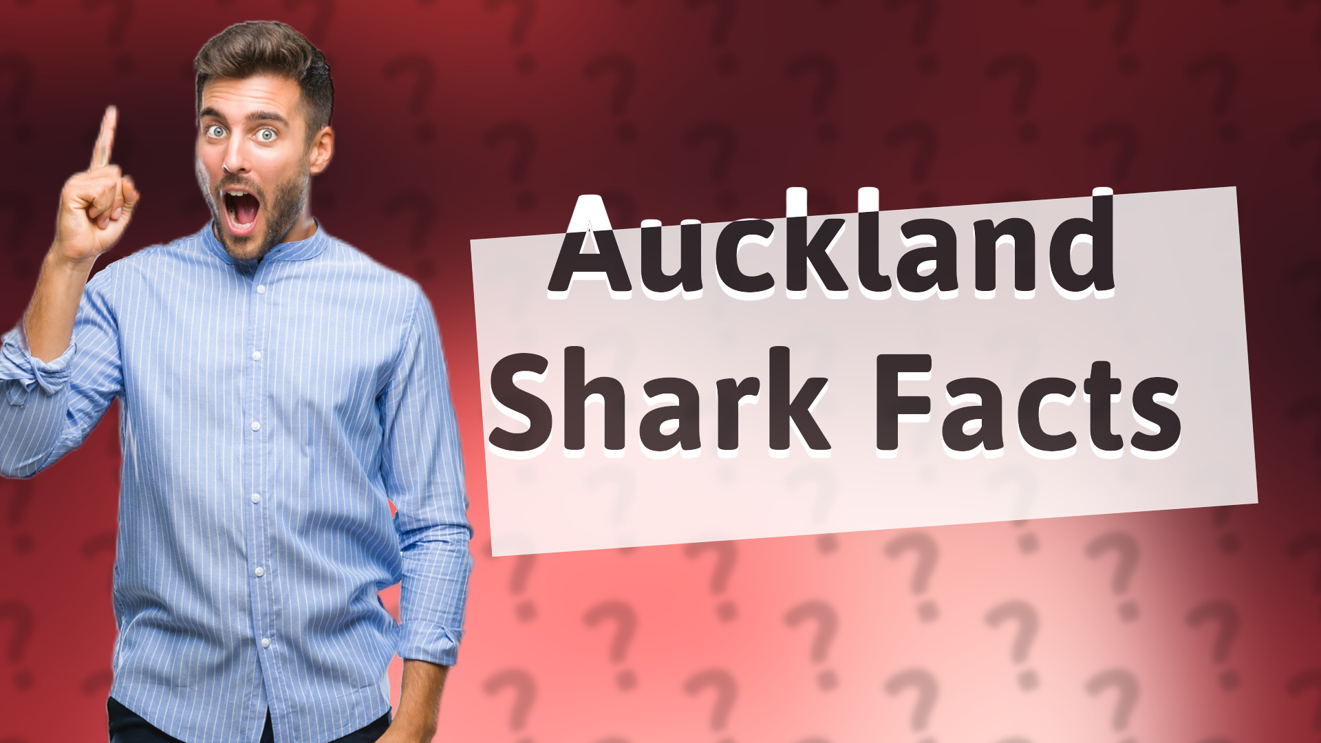 Auckland Shark Facts