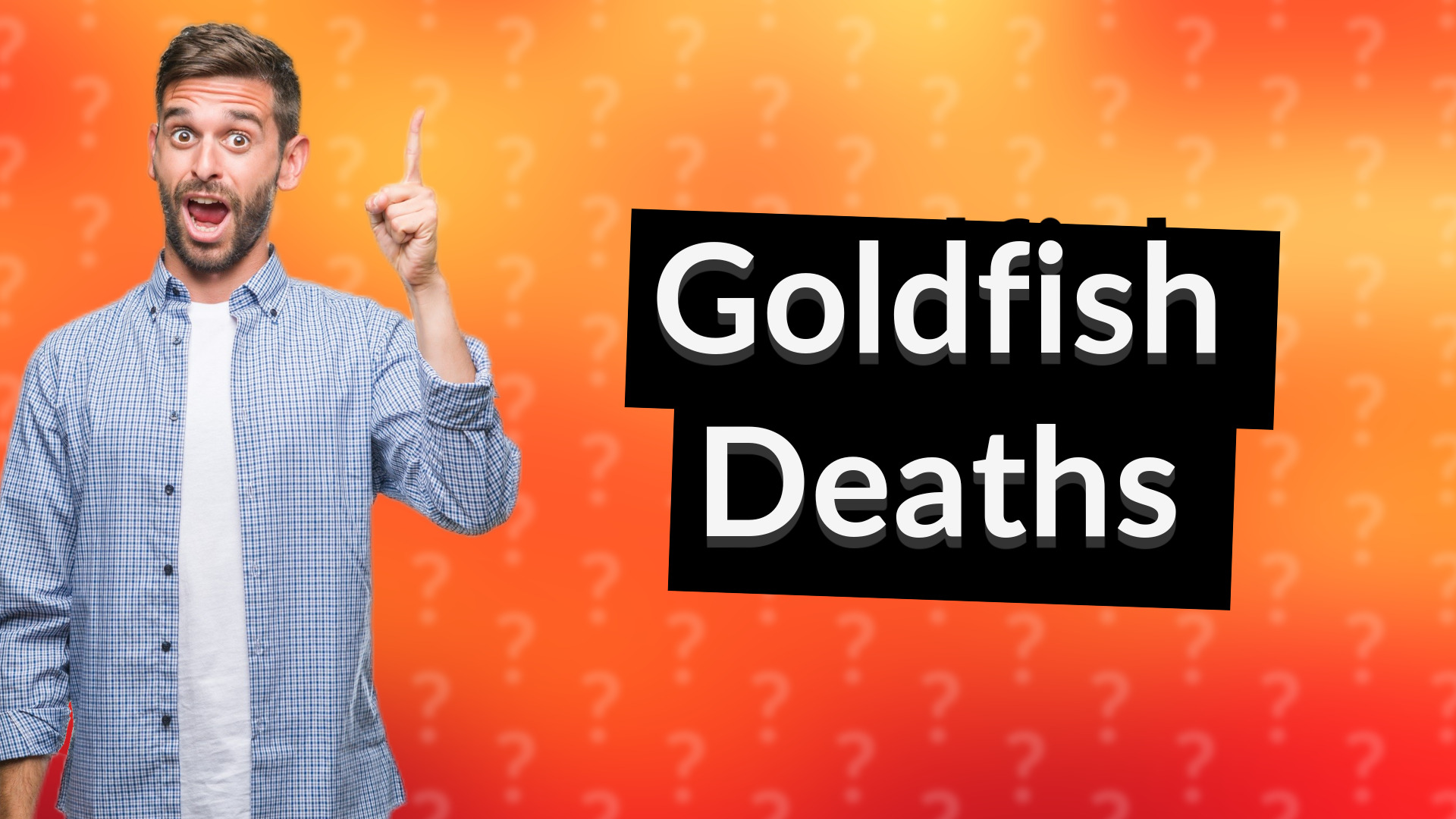 Goldfish Deaths