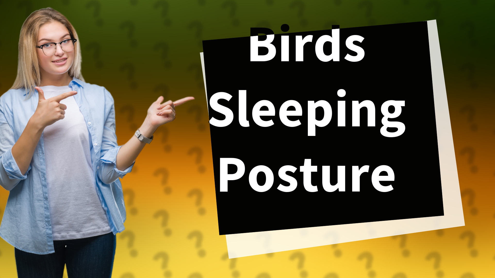 Birds Sleeping Posture