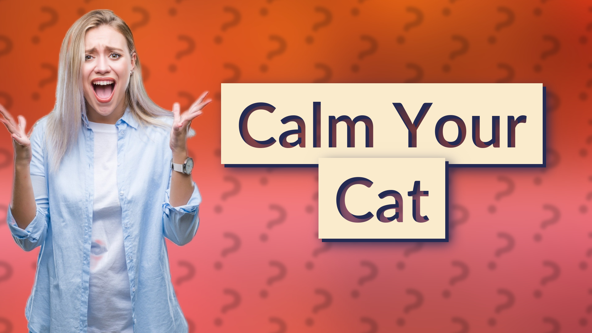 Calm Your Cat