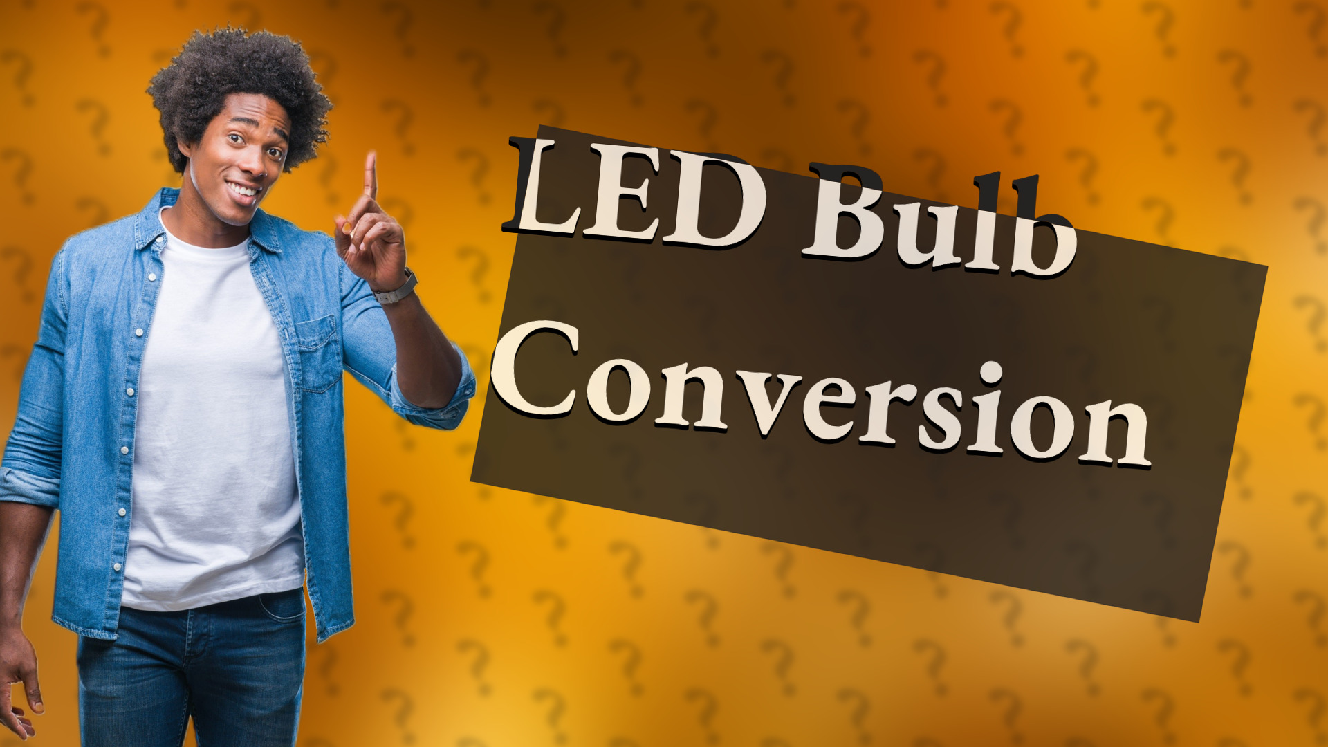 LED Bulb Conversion