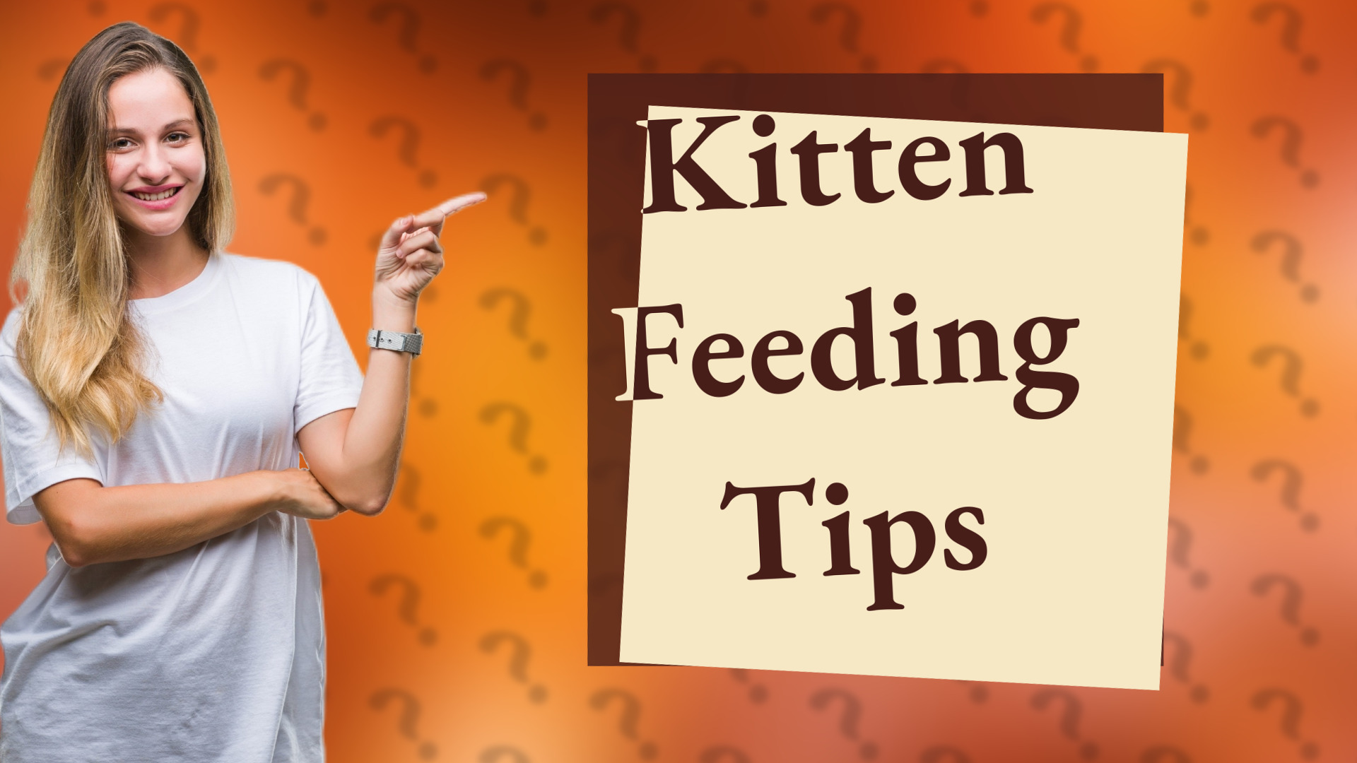 Kitten Feeding Tips