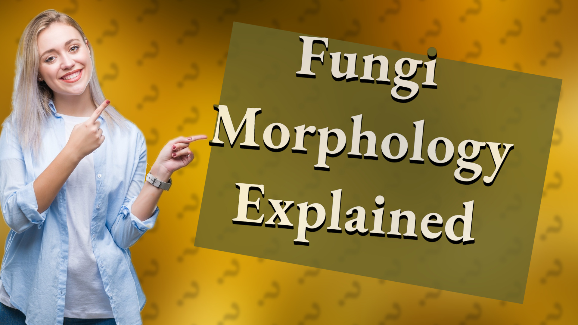 Fungi Morphology Explained