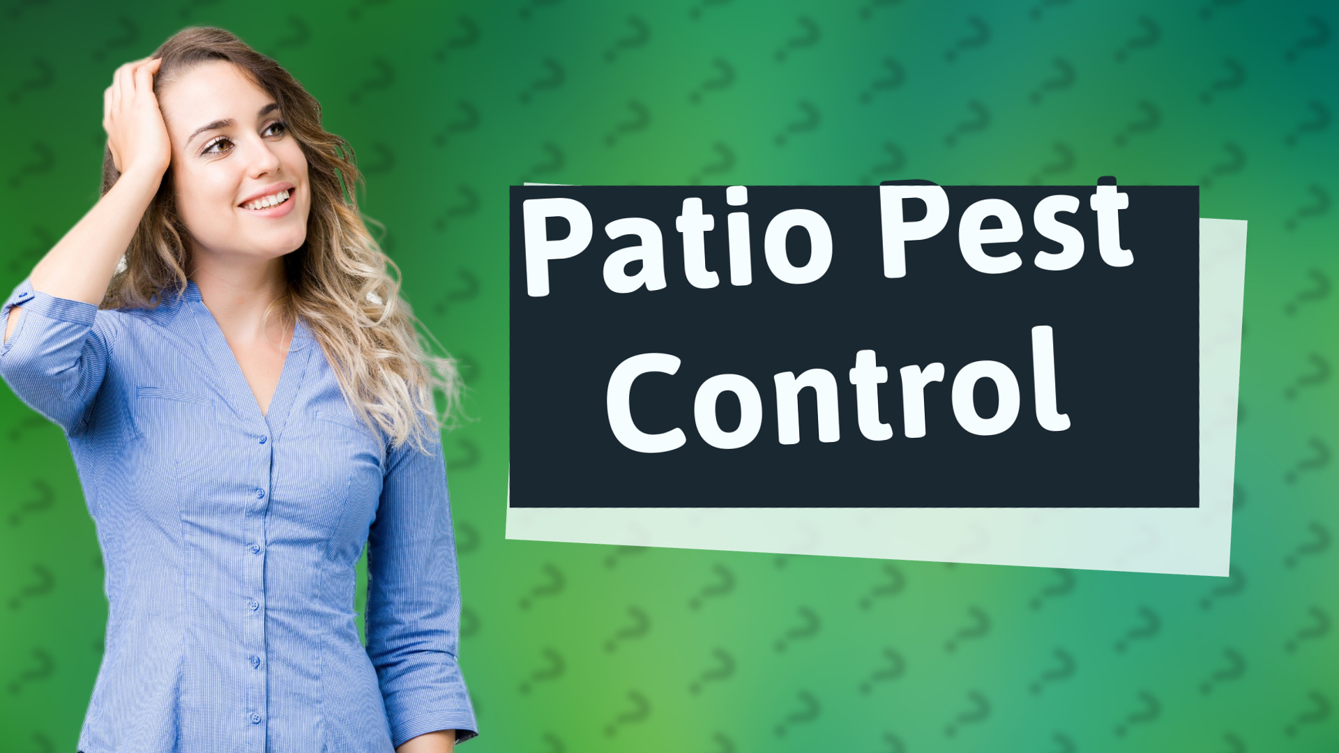 Patio Pest Control