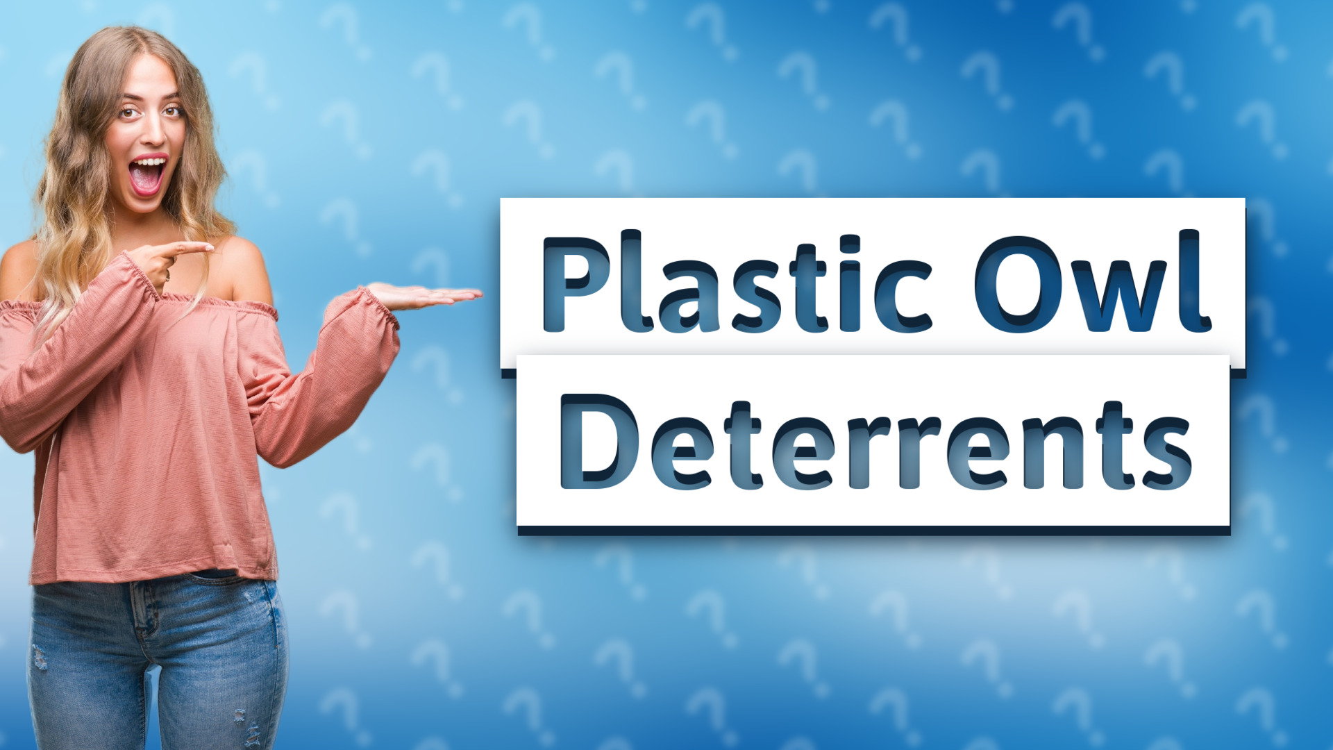 Plastic Owl Deterrents