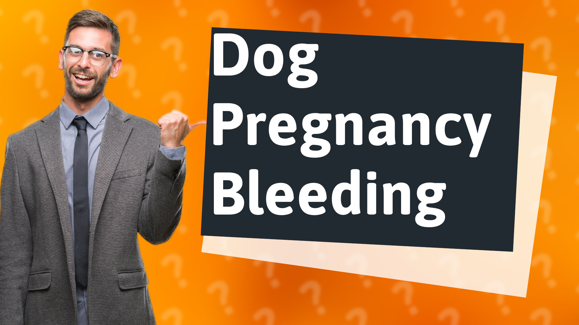 Dog Pregnancy Bleeding