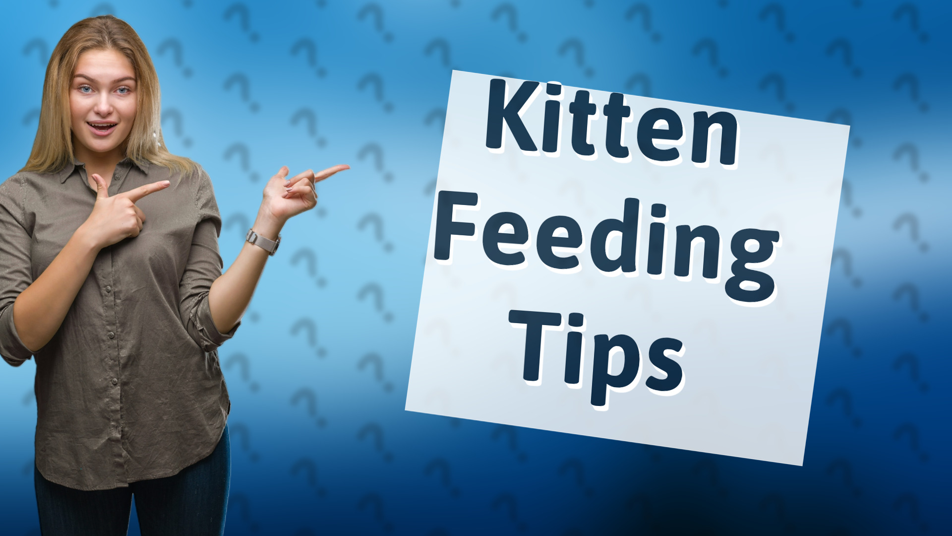 Kitten Feeding Tips