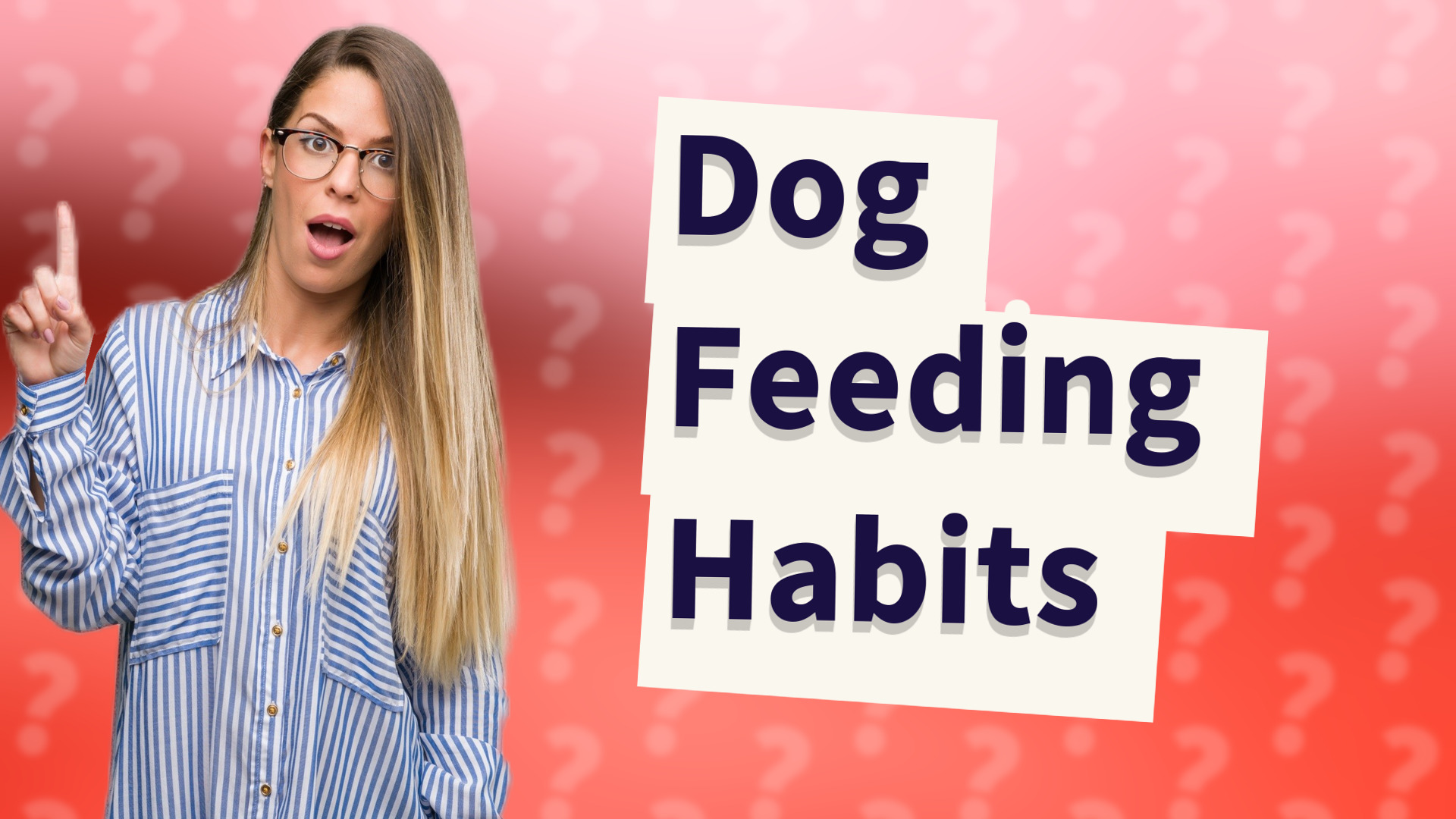 Dog Feeding Habits