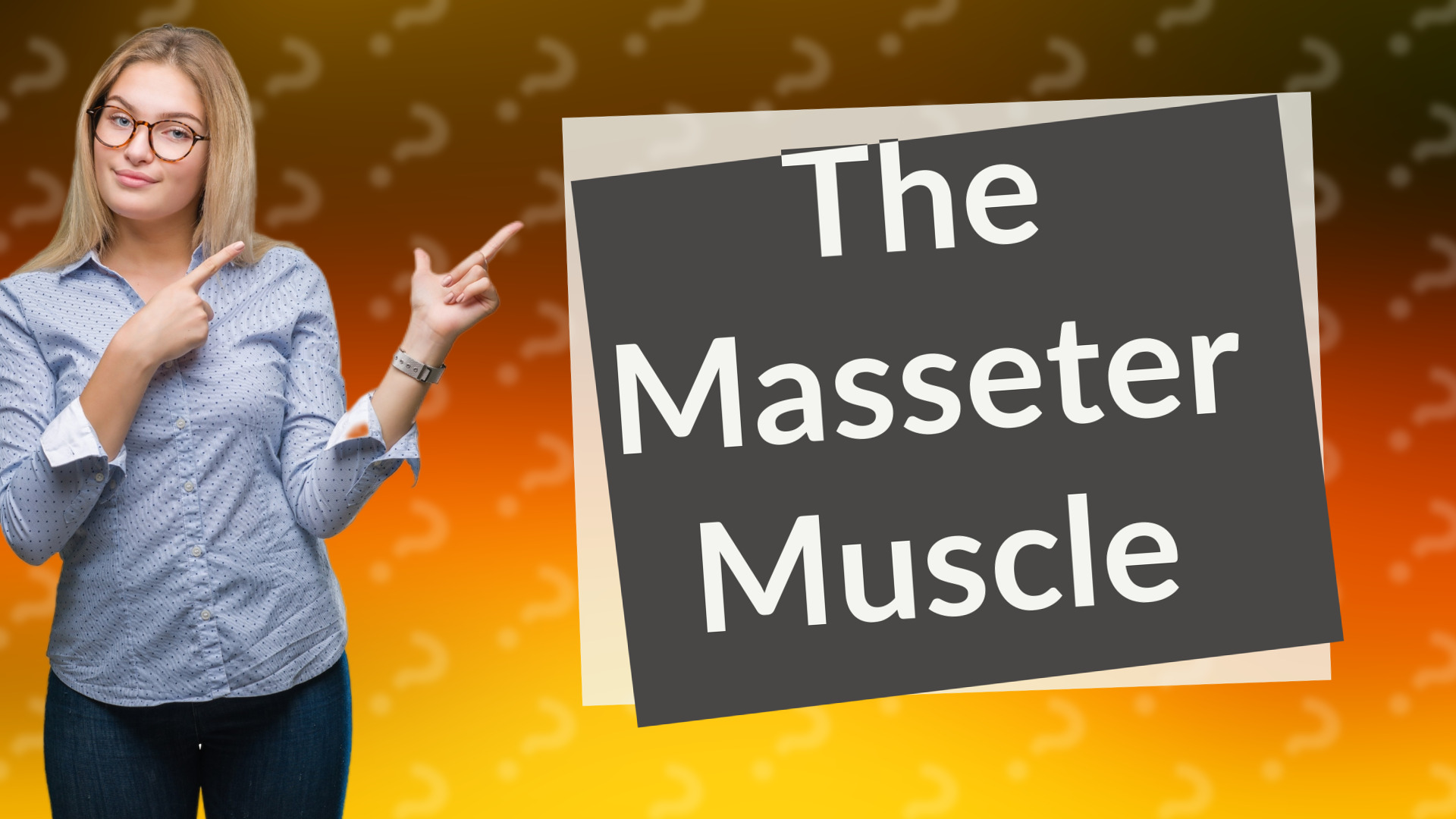 The Masseter Muscle