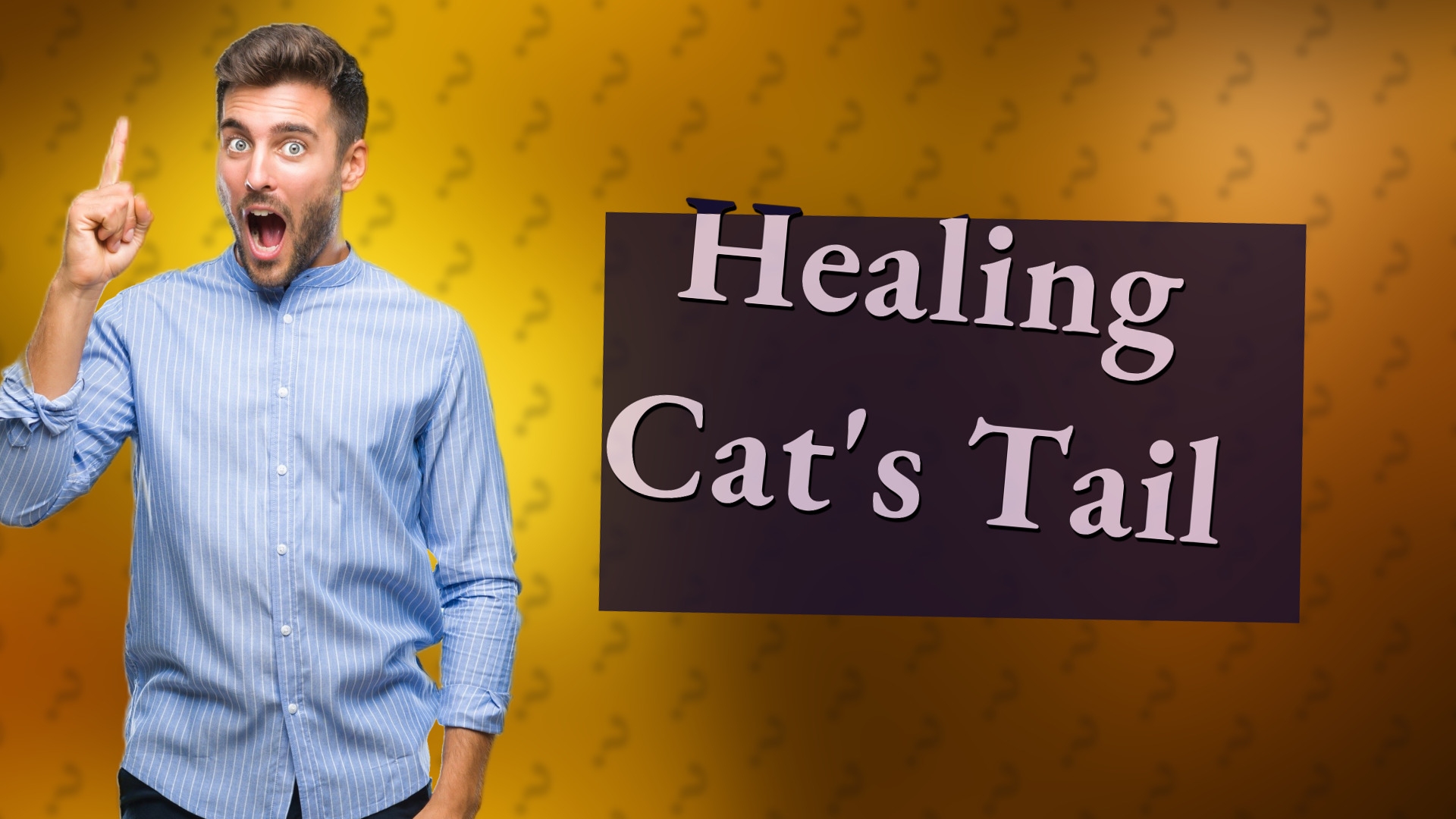 Healing Cat's Tail
