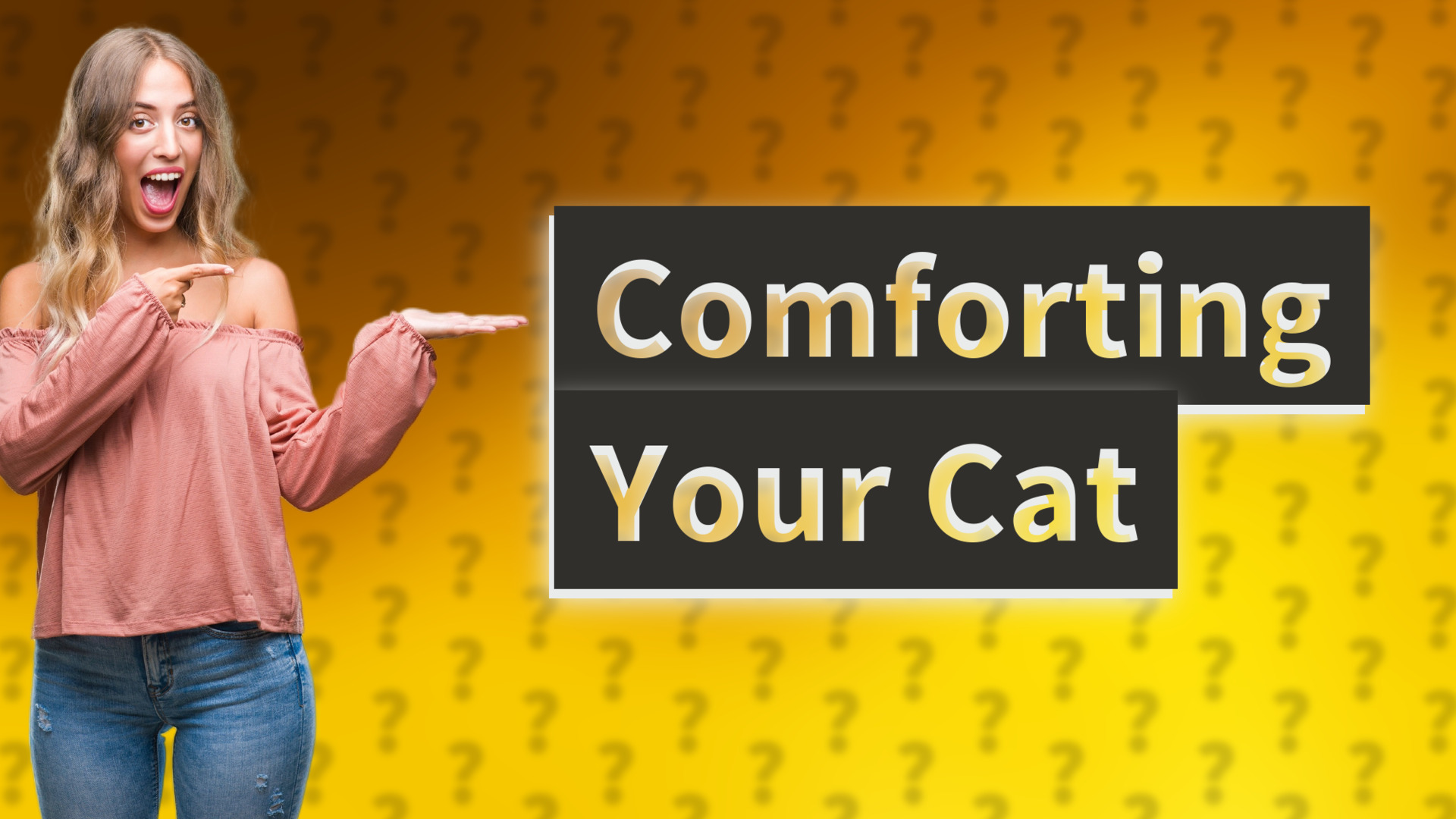 Comforting Your Cat