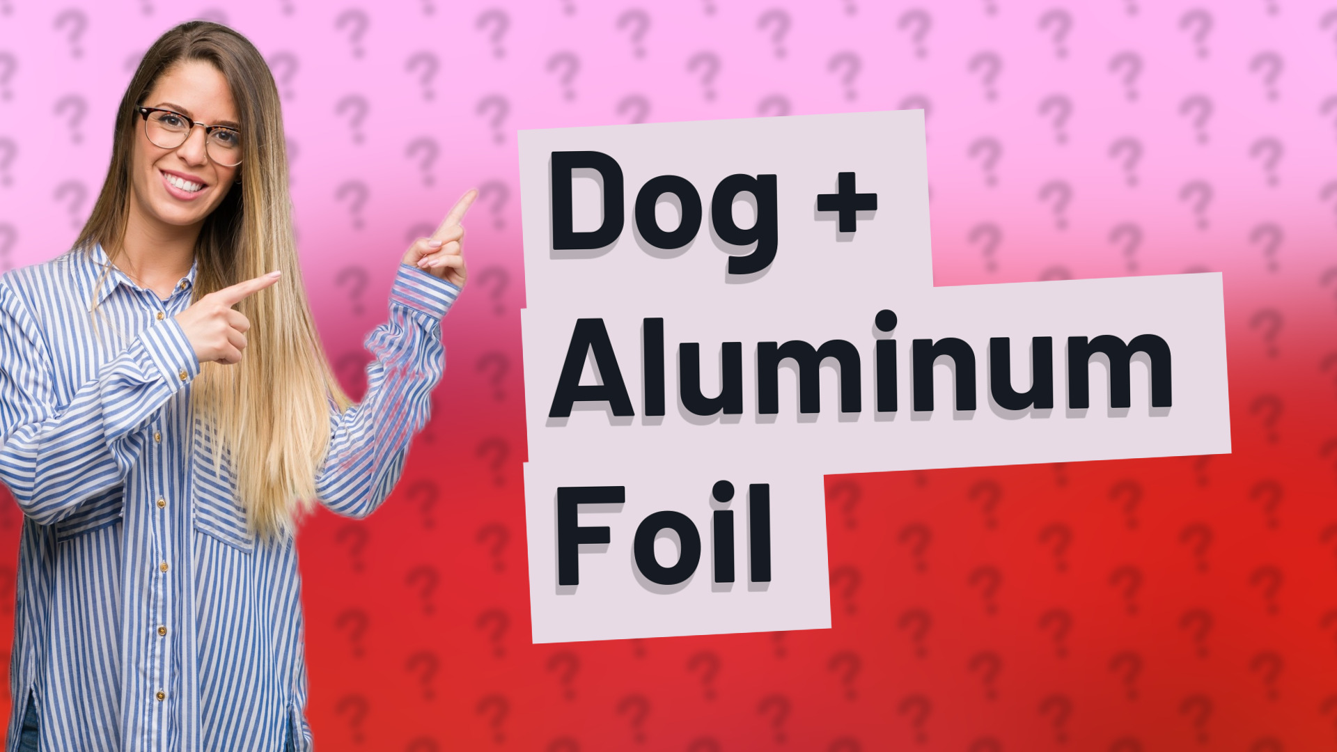Dog + Aluminum Foil